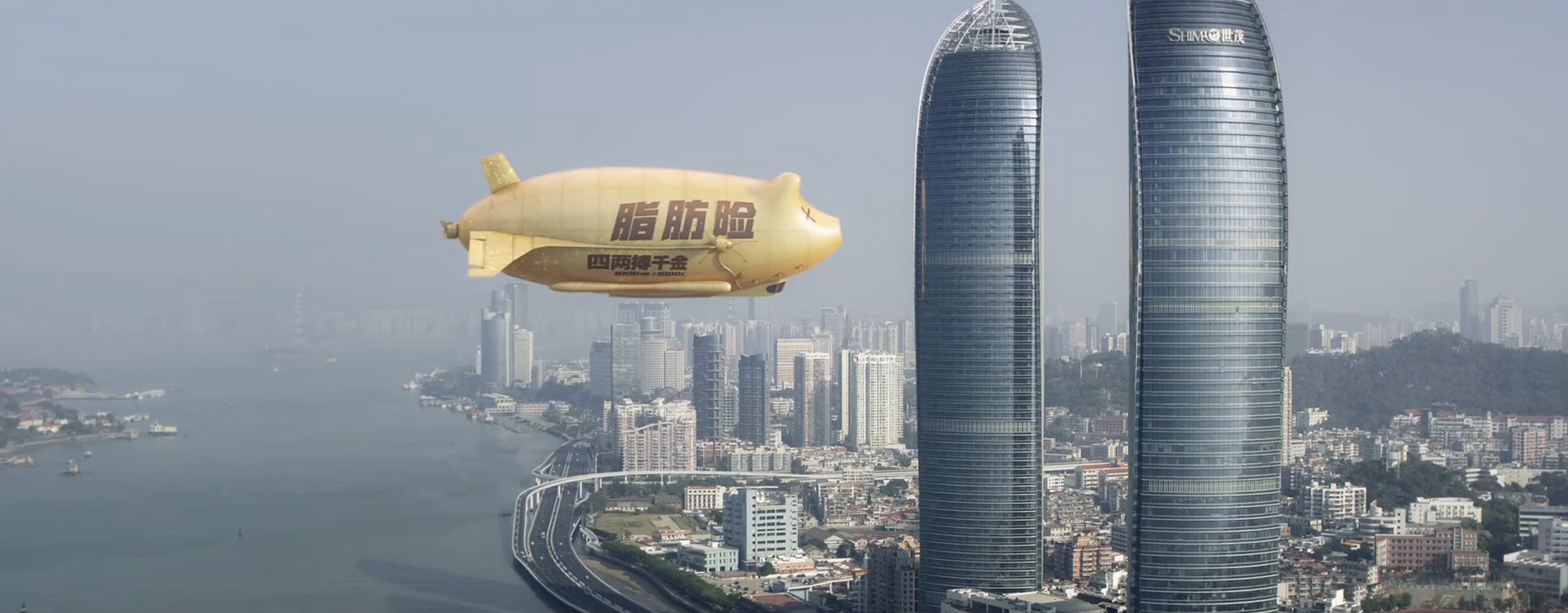 《西虹市首富》中王多鱼推出的脂肪险