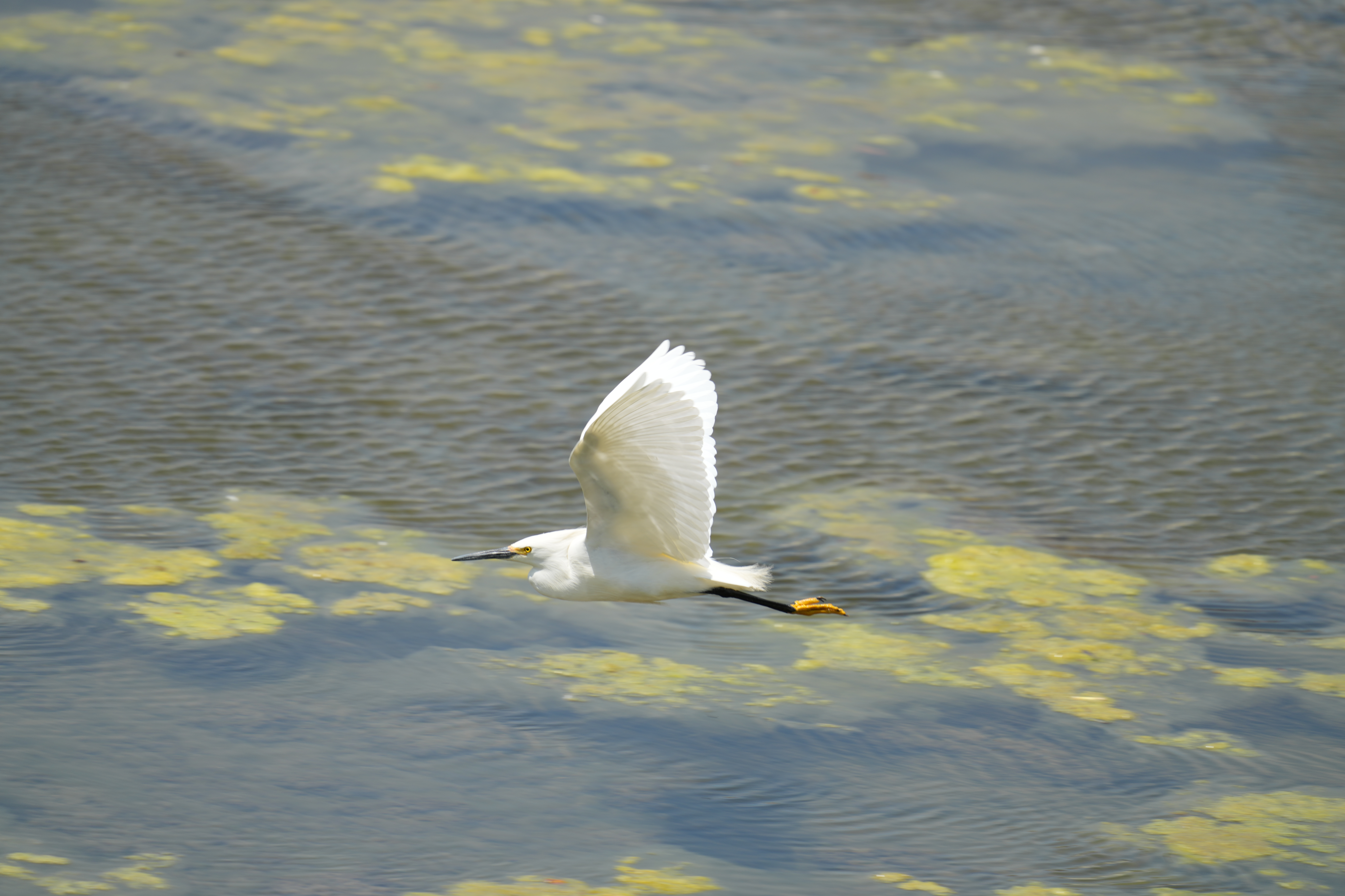 动态物体就更别提了，即便是我挑出来最好的那几张，放大了看也是糊的，就是因为曝光时间太长