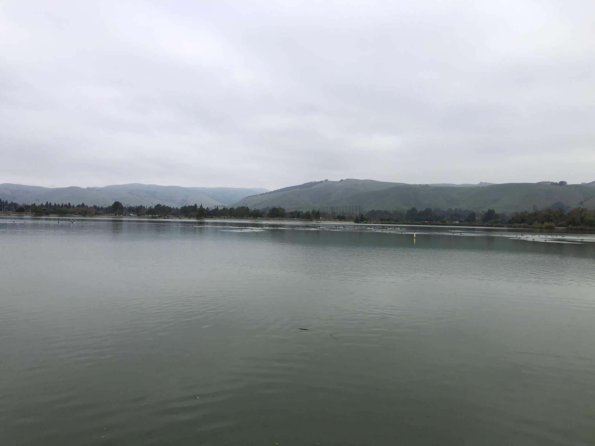 几个飞行中队在湖面上降落