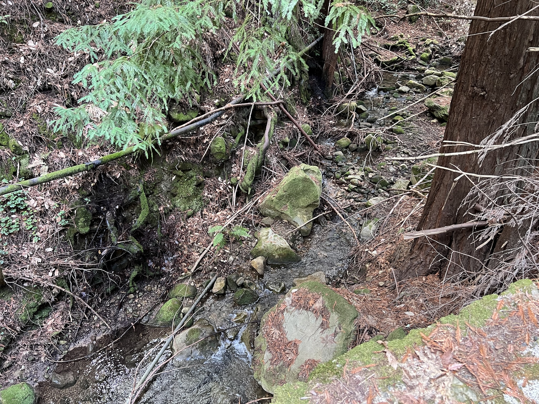 山涧