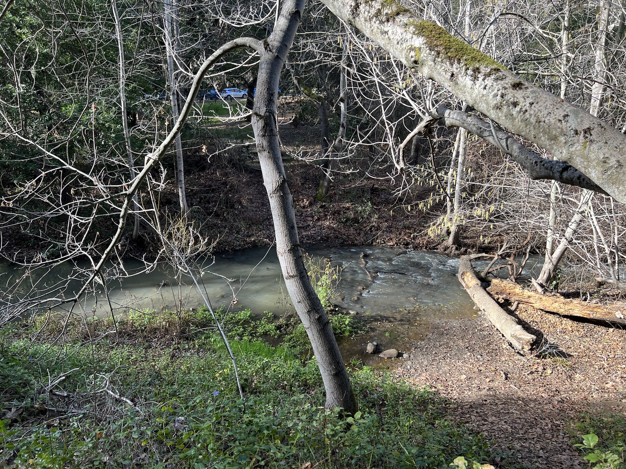 Stevens Creek