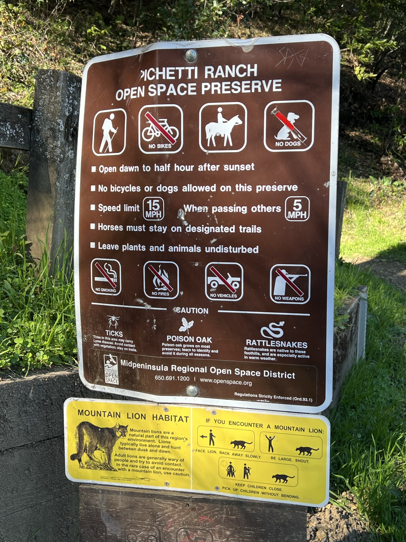 Bear Meadow Trail 里有山狮，碰到狮子需要“变大”