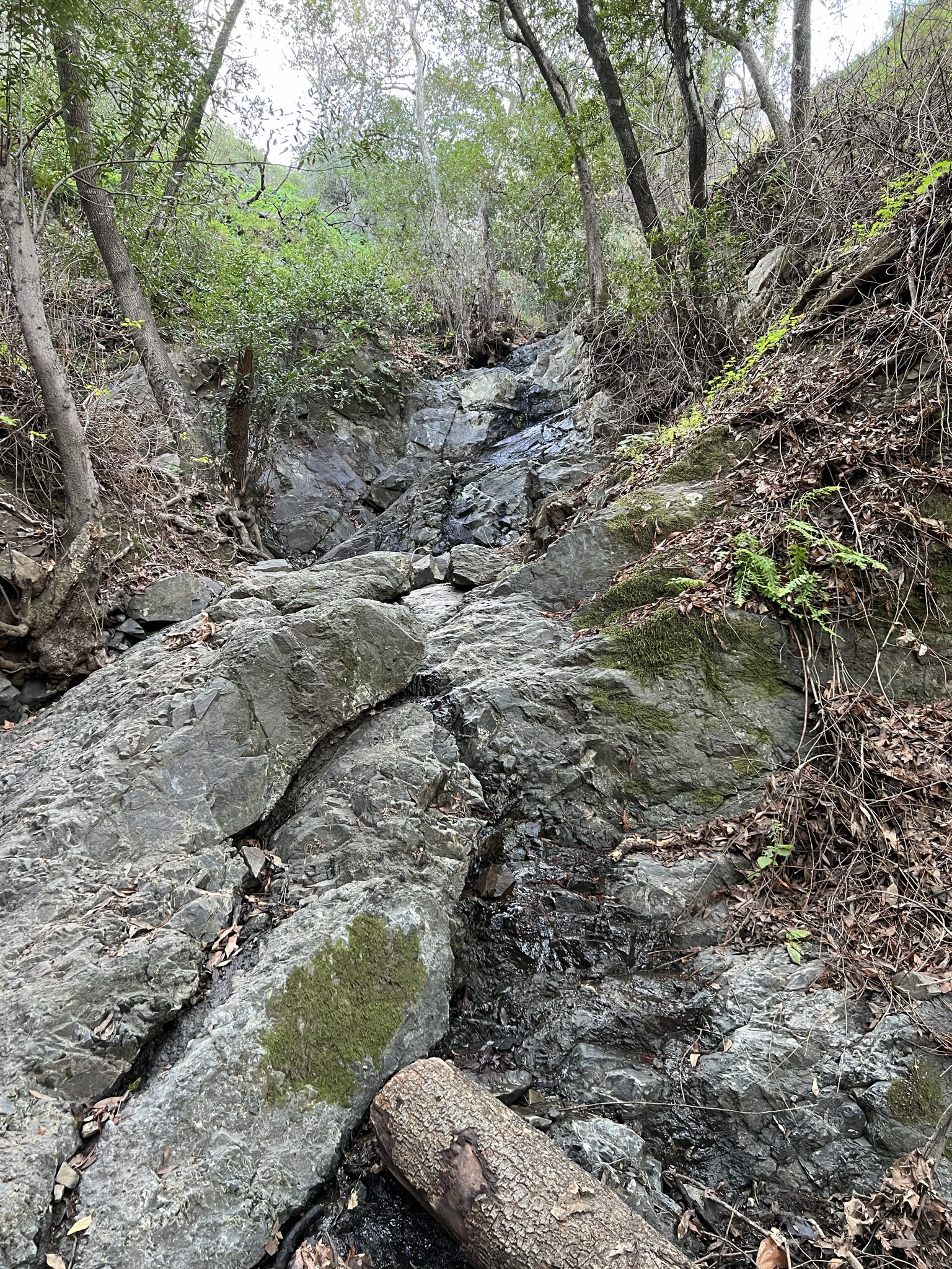走进一个岔道，偶遇一条小涧