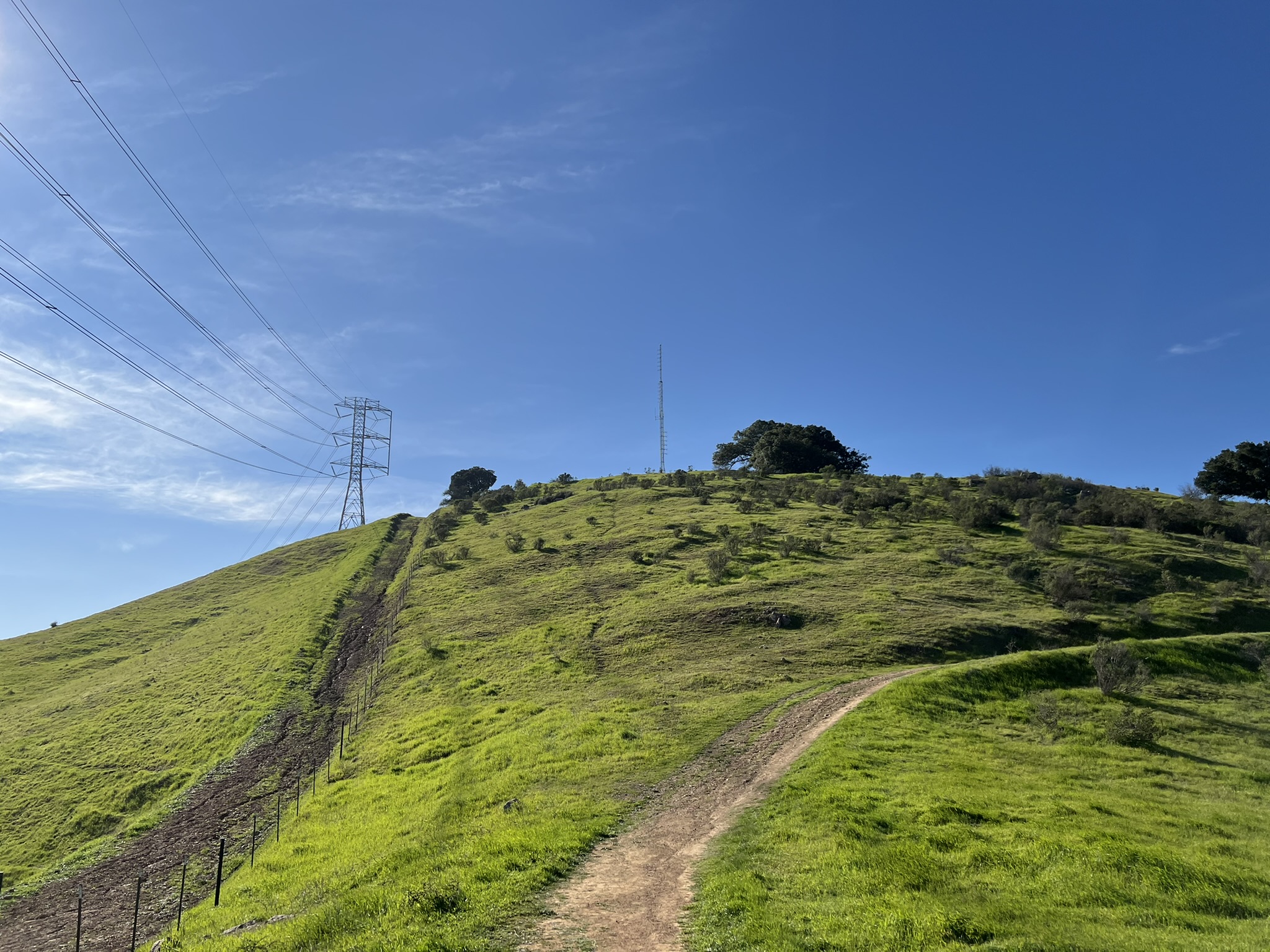 尝试攻顶 Coyote Peak