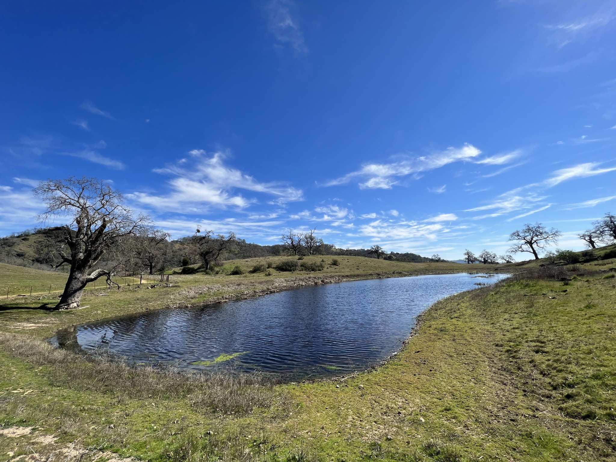 Eagle Lake