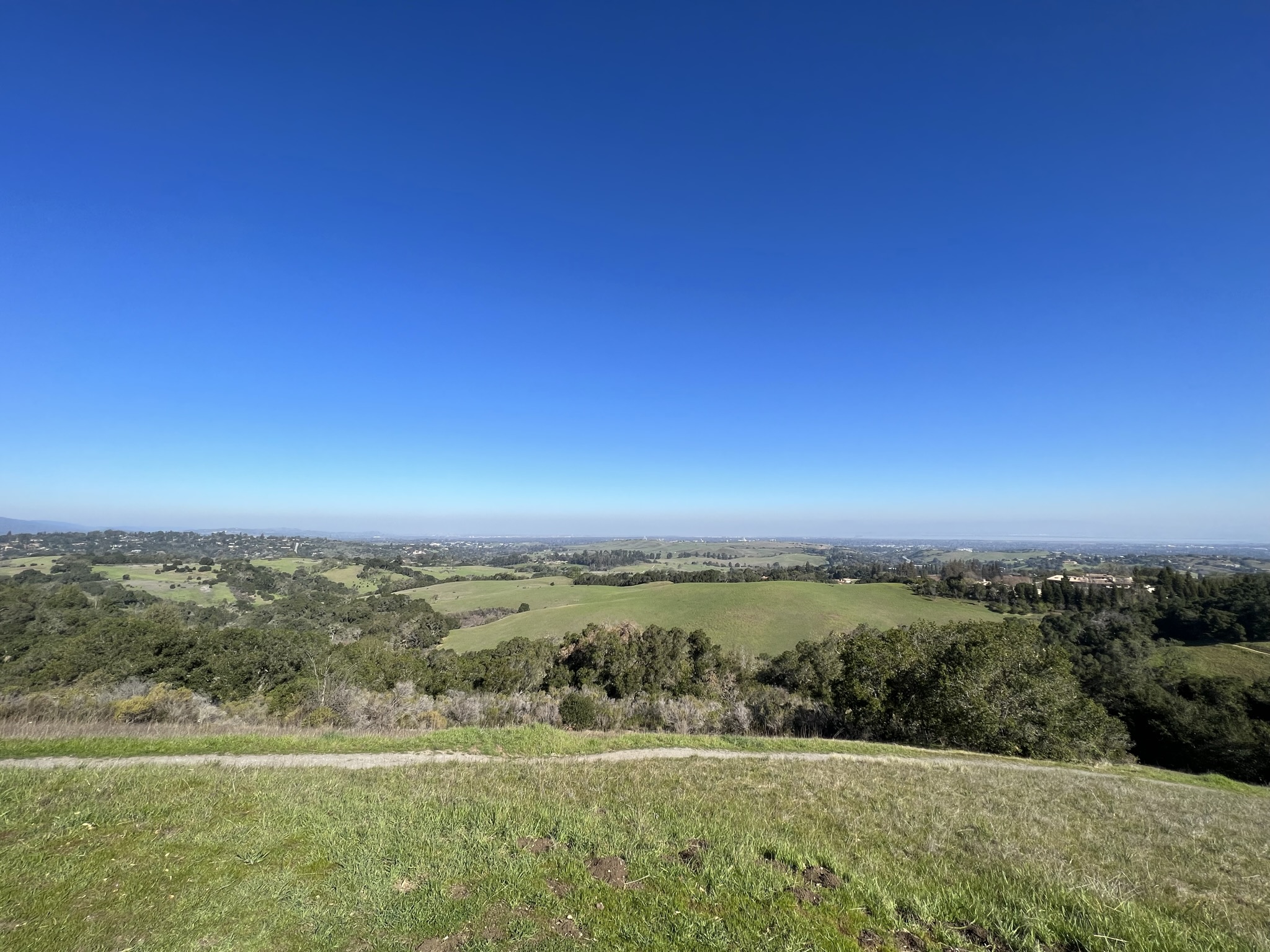 眺望 Palo Alto