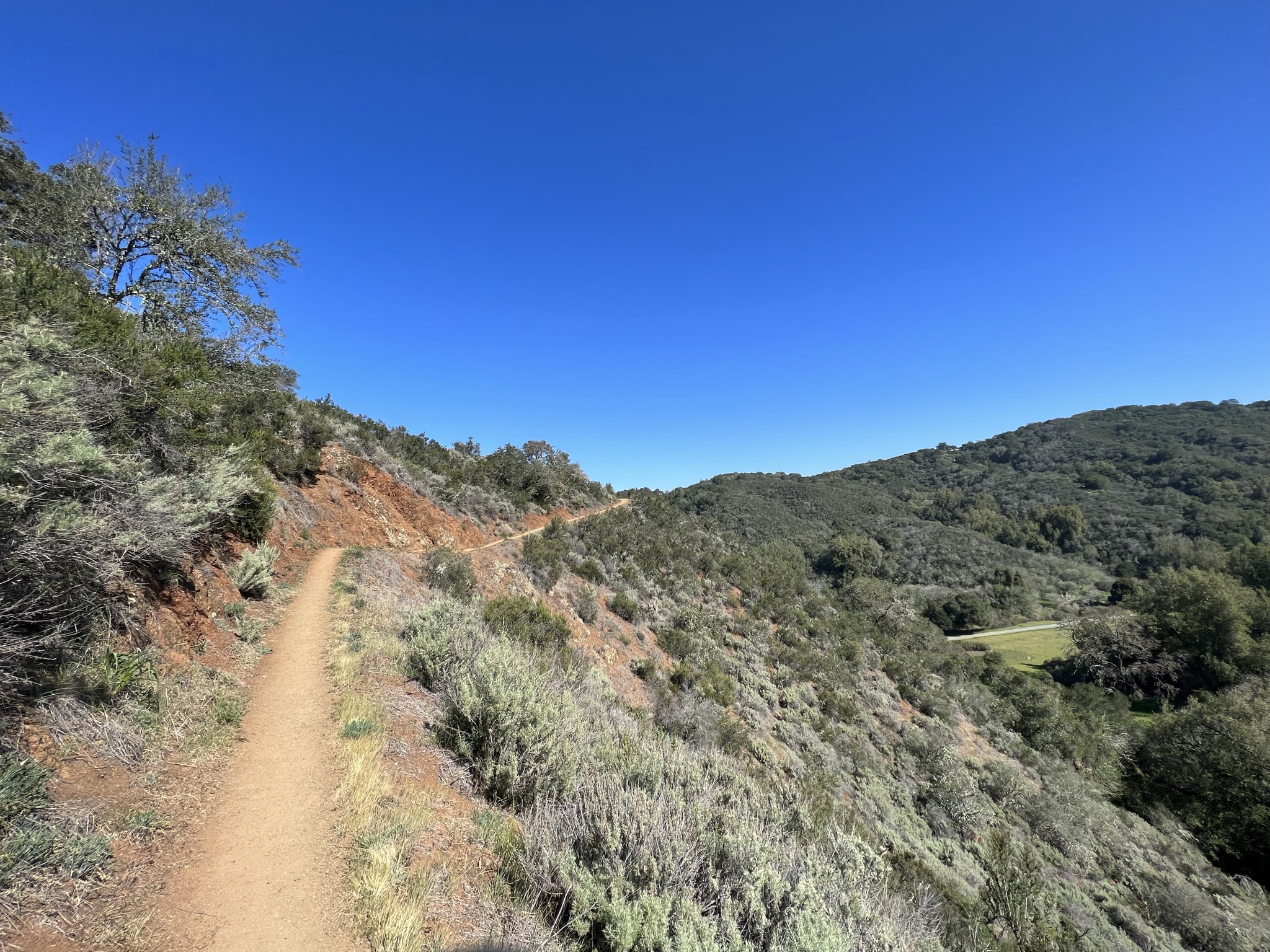 走上 Los Trancos Trail
