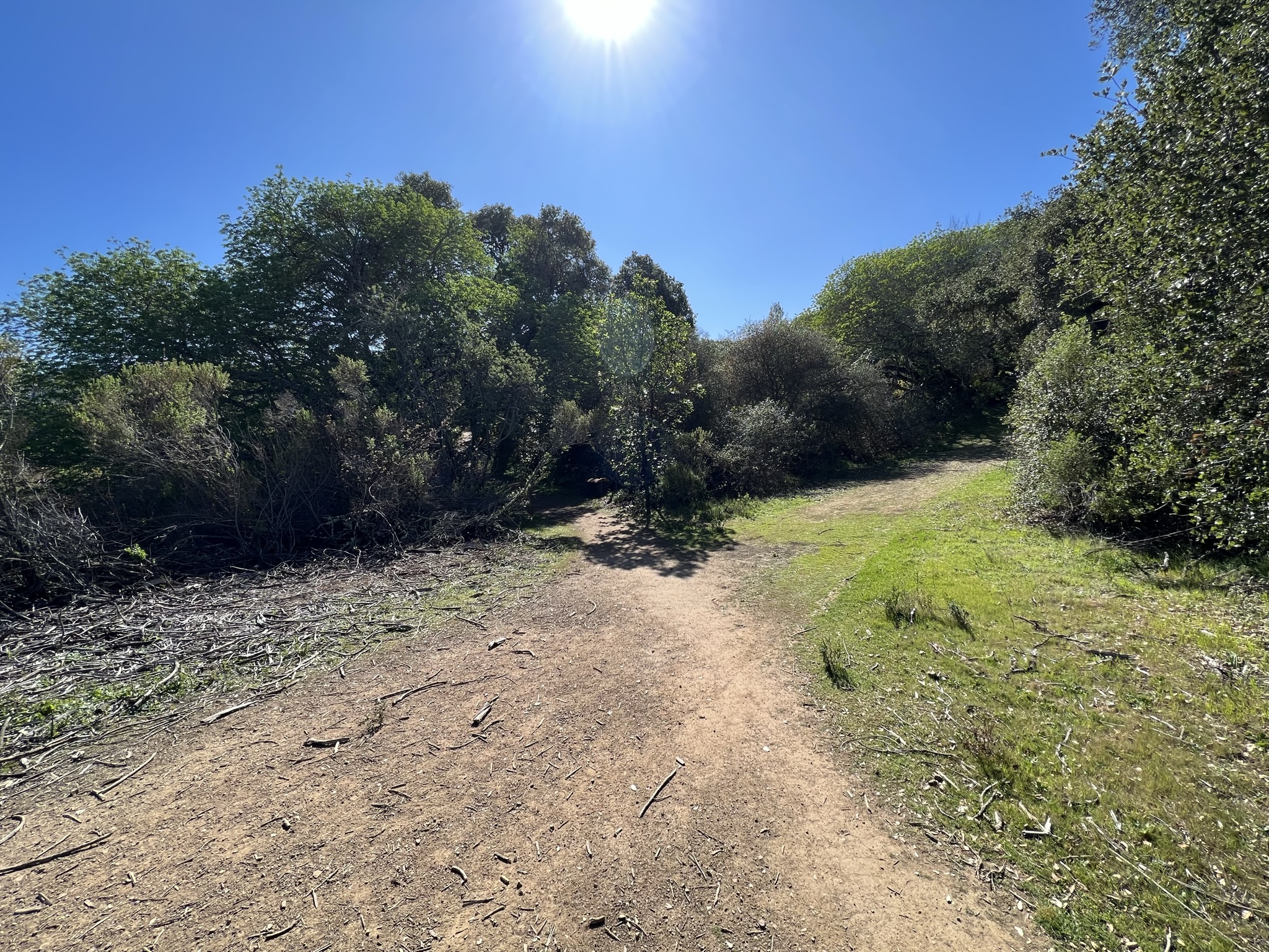 不像 State Park，City Park 的路牌设置很不好，有岔路都没路牌