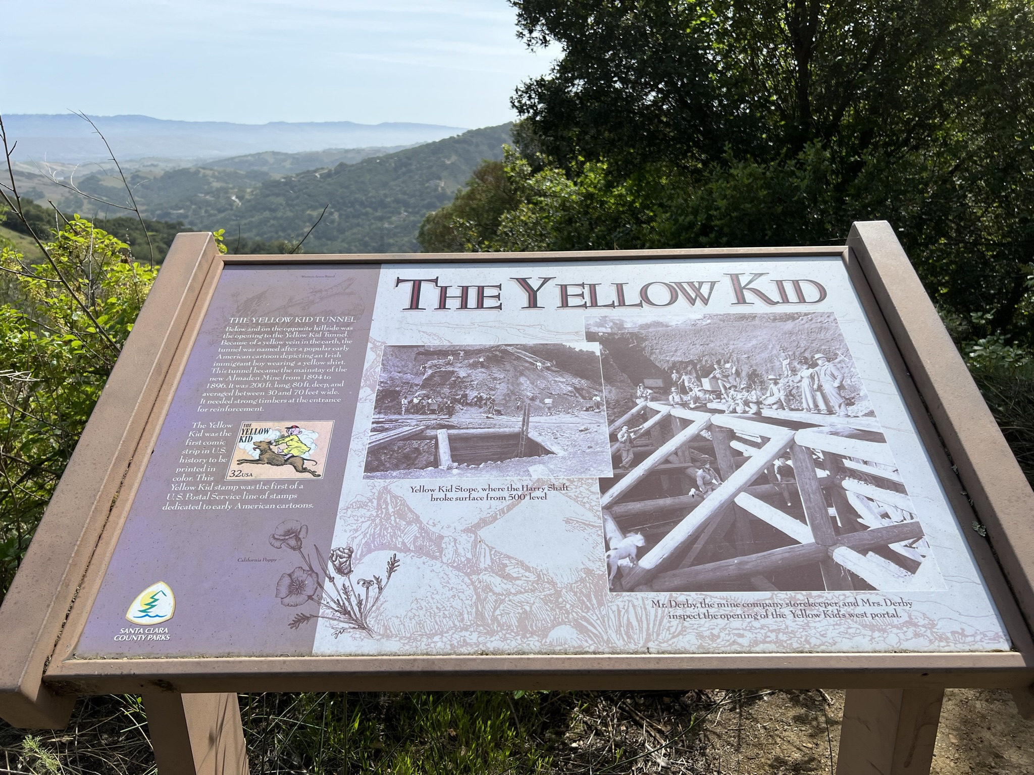 The Yellow Kid