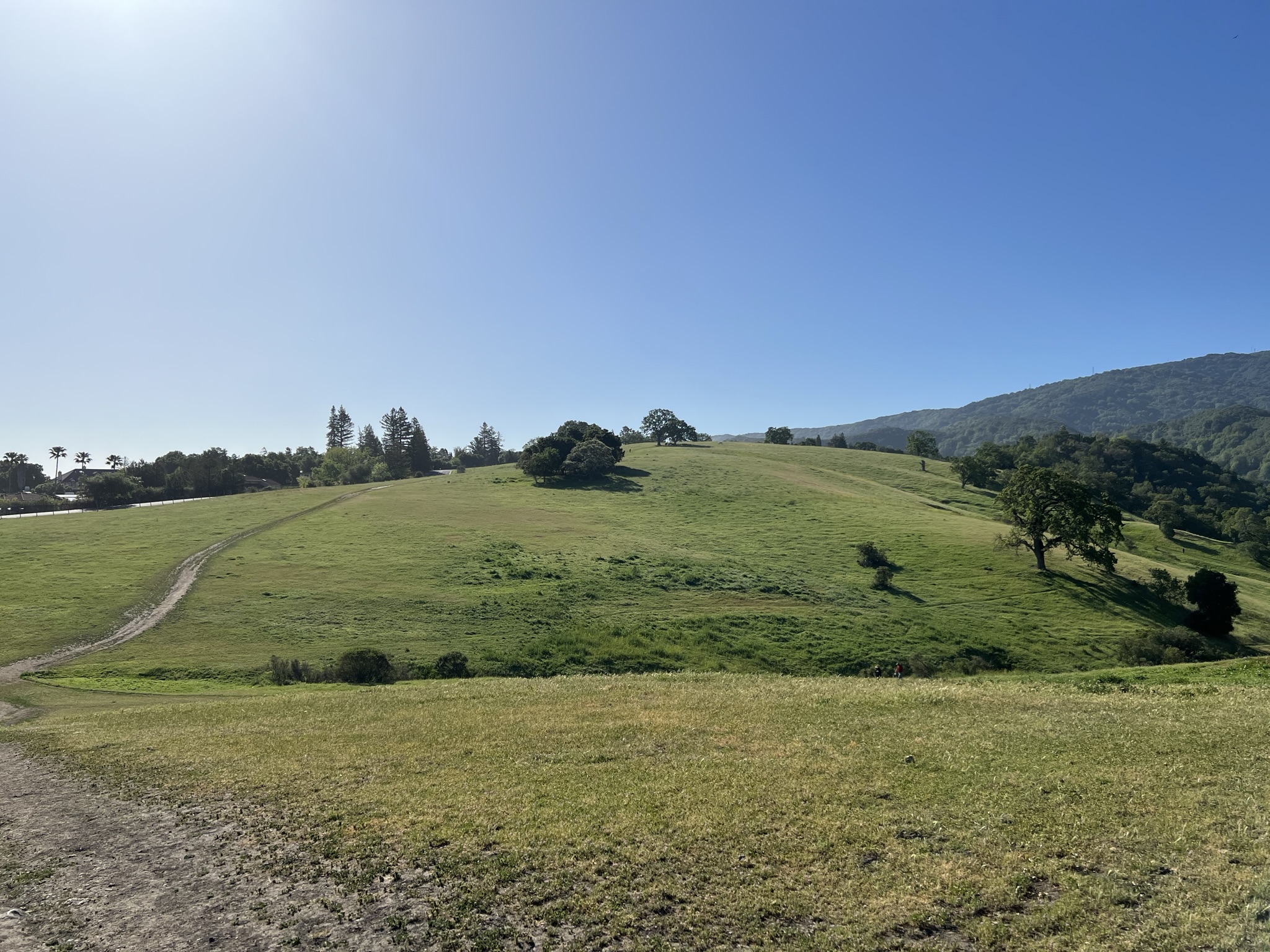 Byrne Preserve 其实就是一个小山丘
