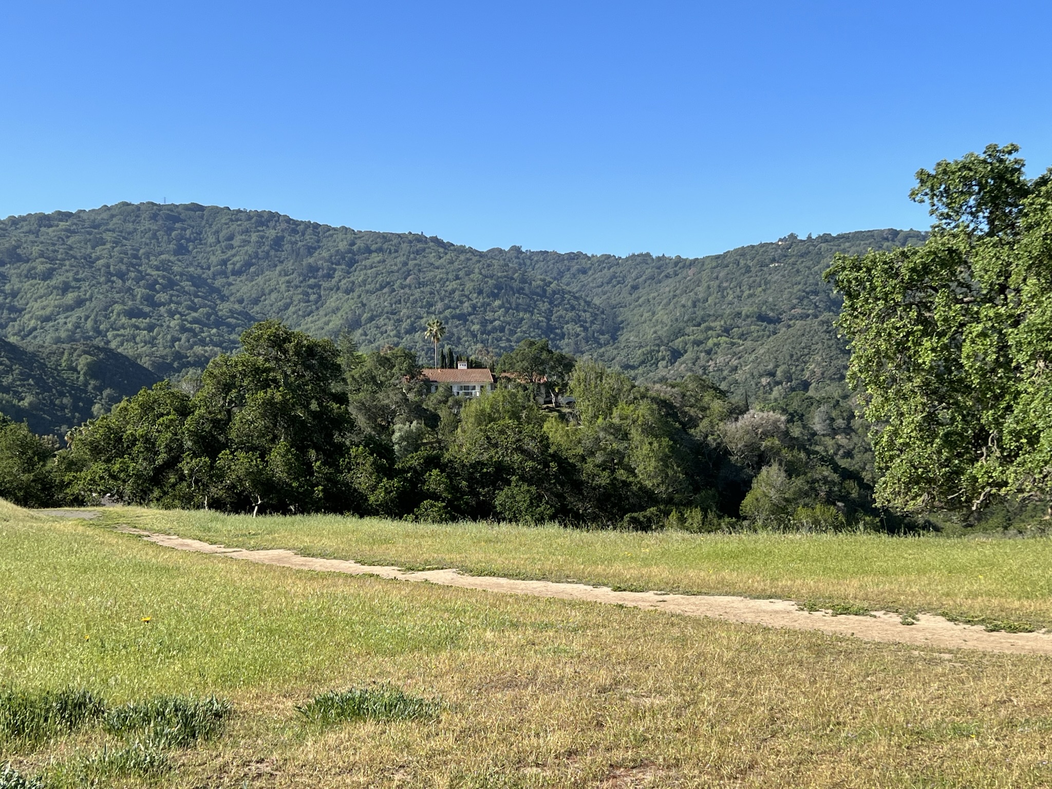 Los Altos 的宅子，这些地应该都是最早这些地的主人捐出来的