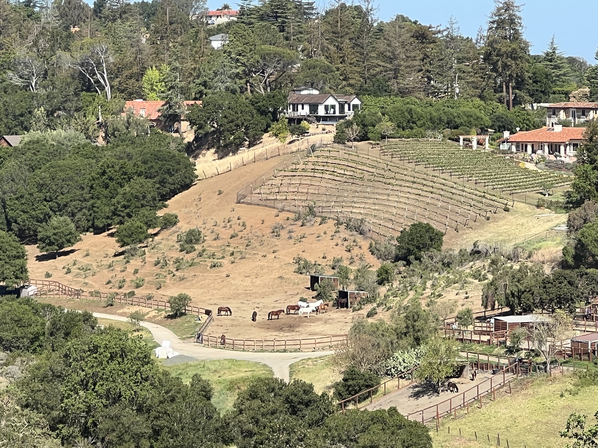 在山丘上看 Byrne Preserve