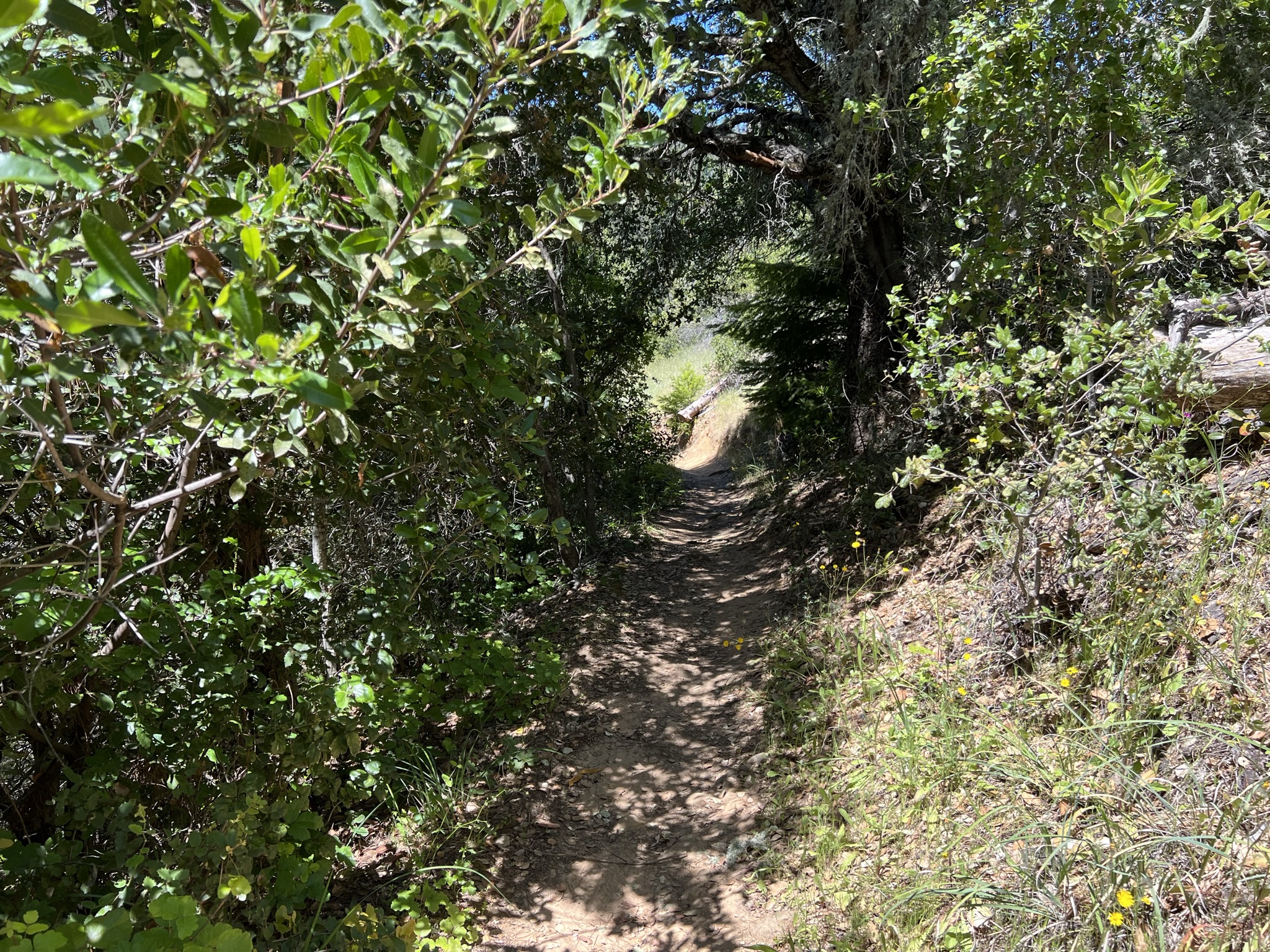 后面的路比这个还要窄还要难走