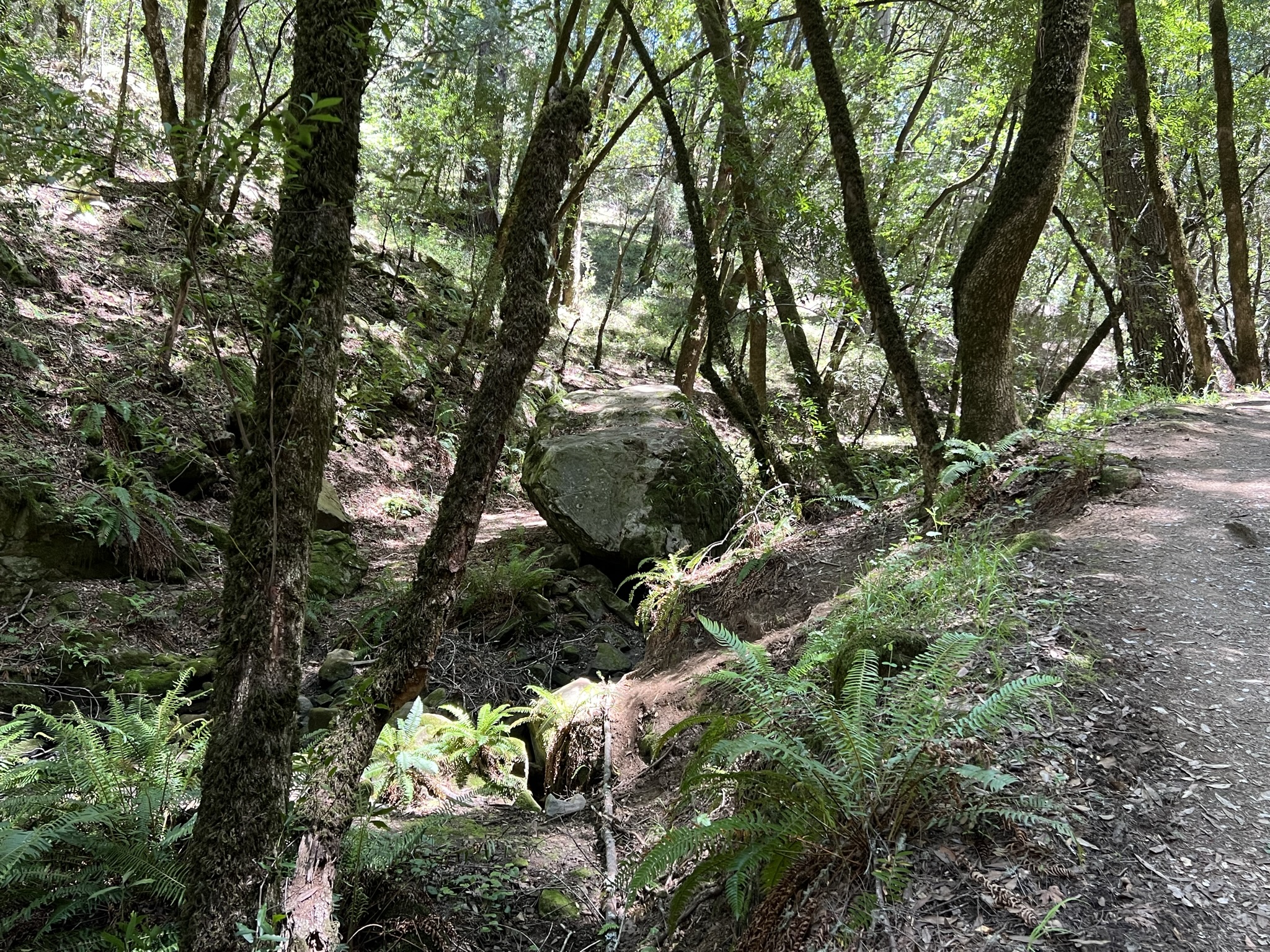巨岩