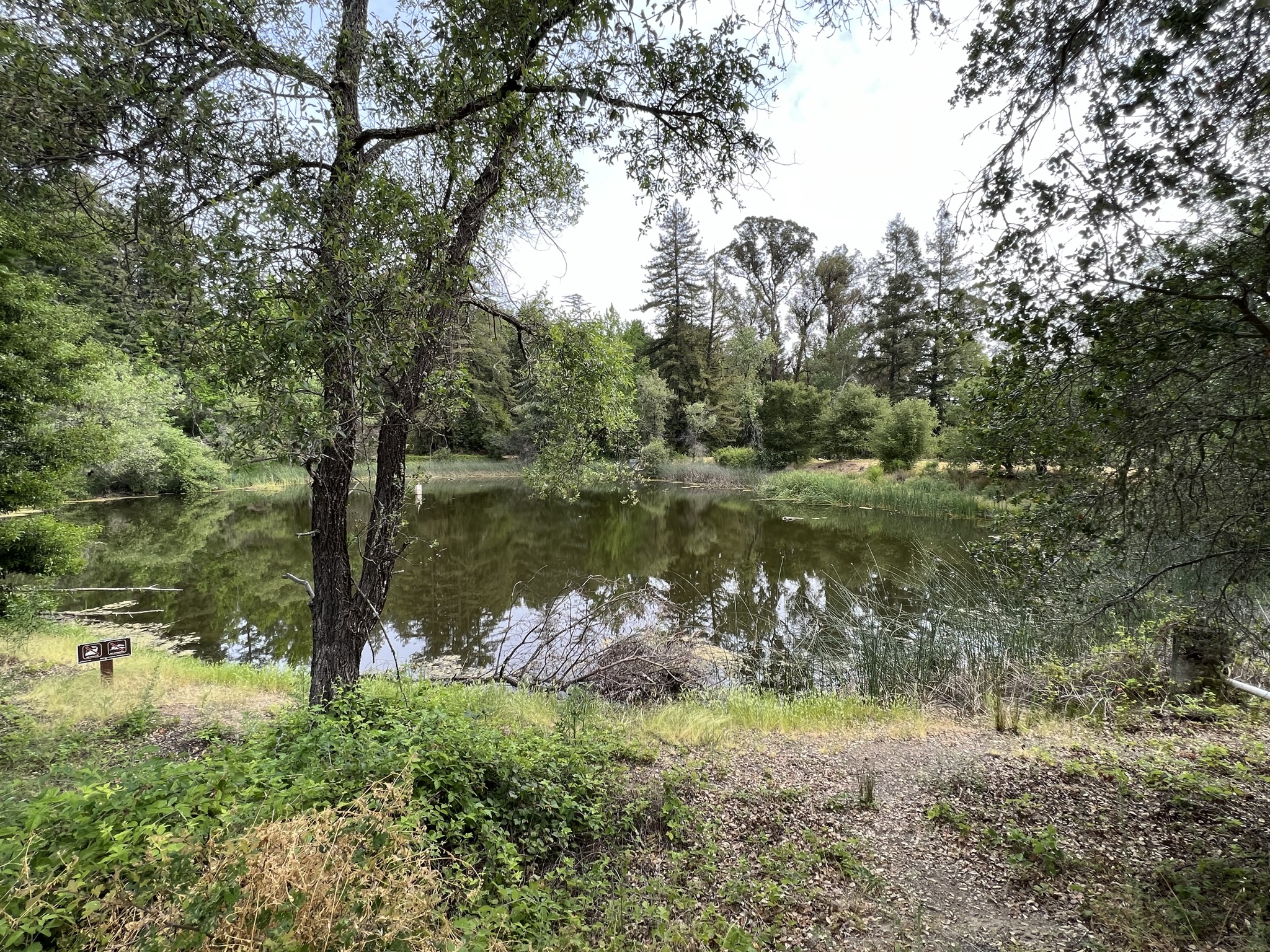 停车场旁的Upper Lake