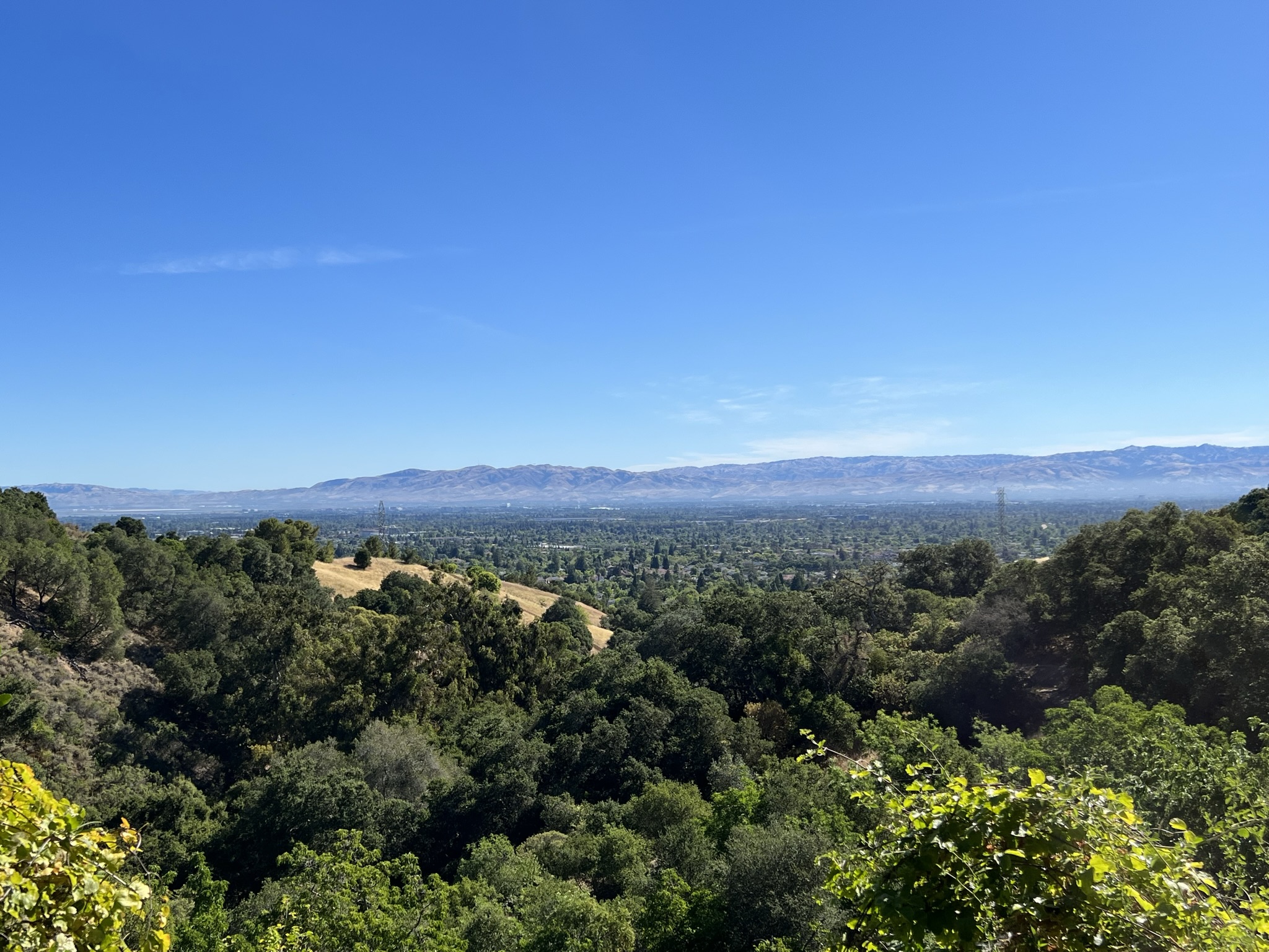 前面应该是 Cupertino