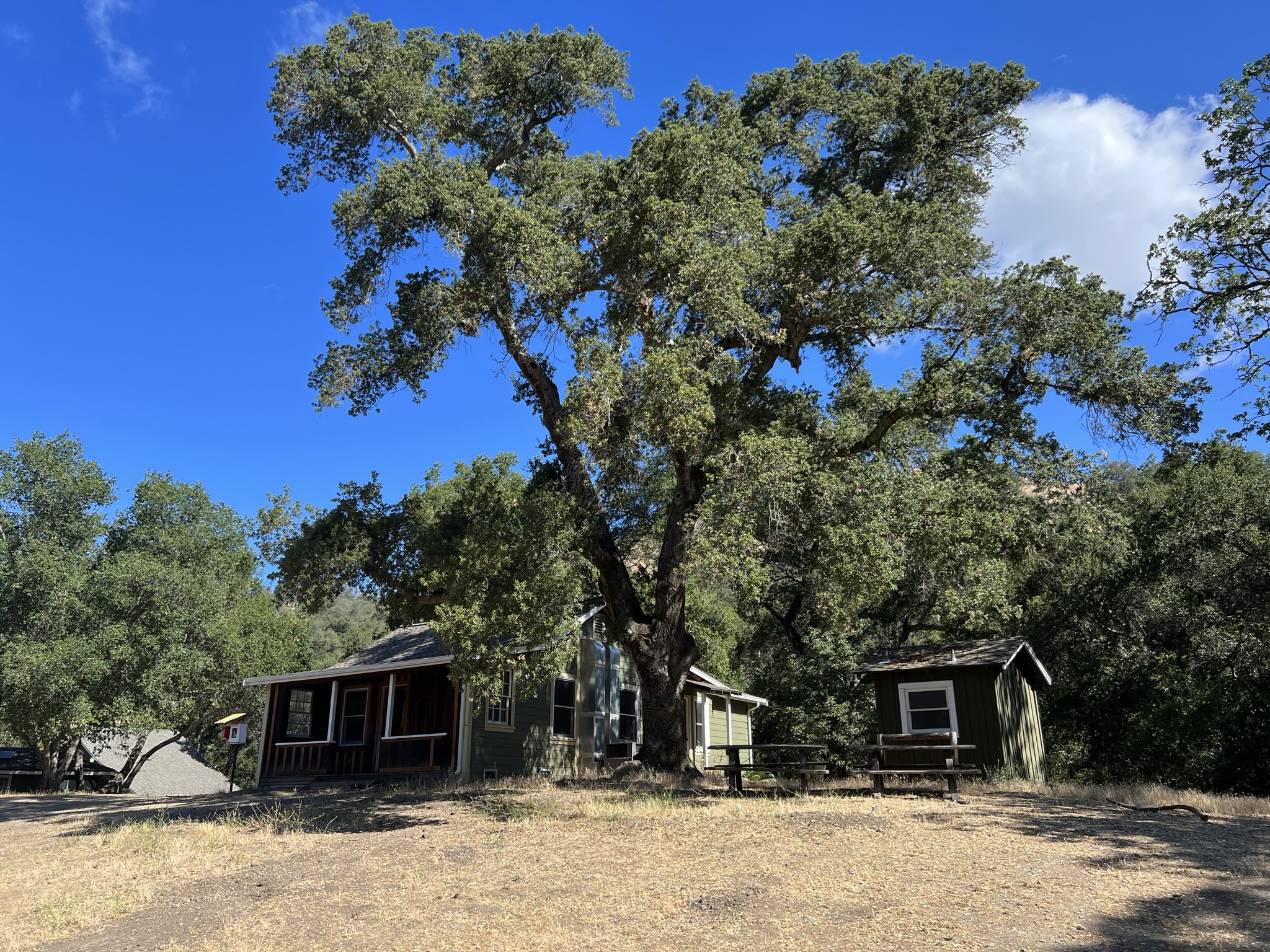 入口处停车场附近是有些公园的房子的