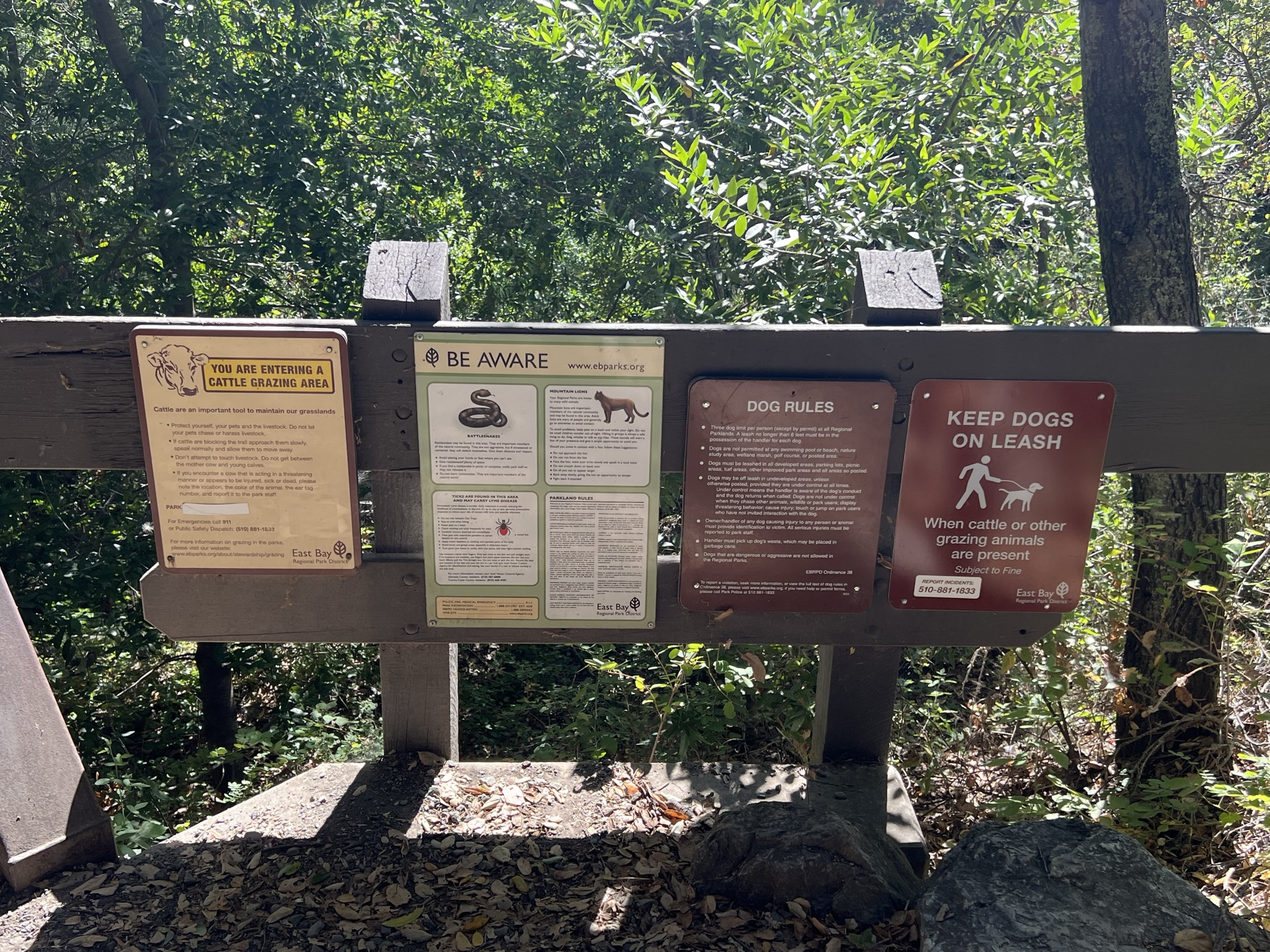 山里有牛有蛇有山狮