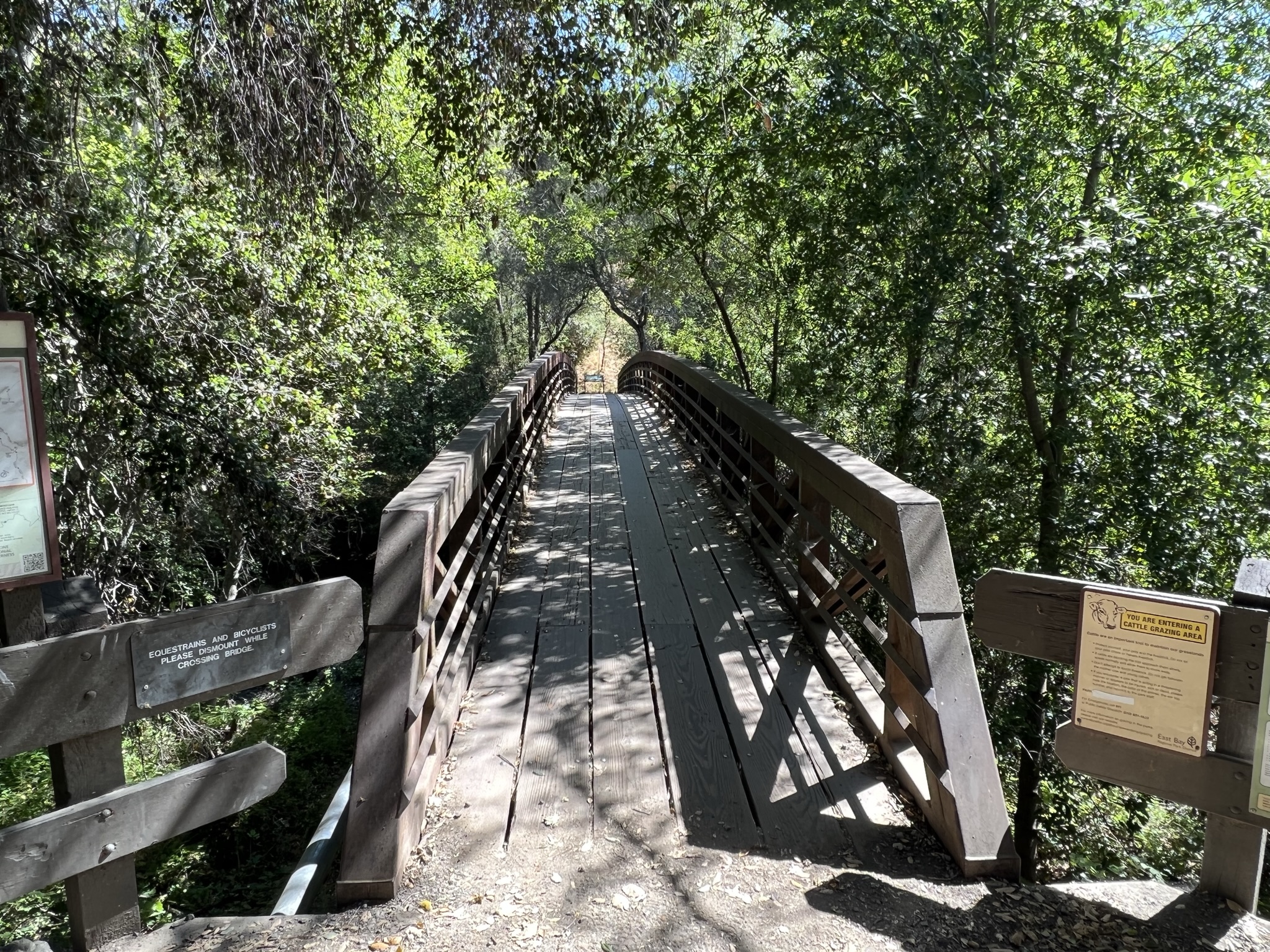 过了桥就是正式进山了