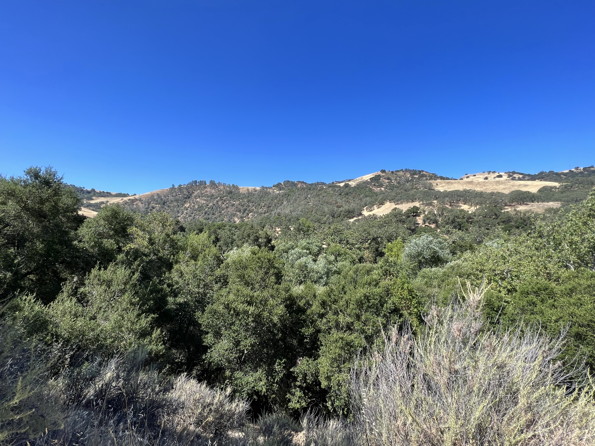 Canyon View Trail 需要上山，一定要看清路牌，别被地上的伪 Trail 骗了