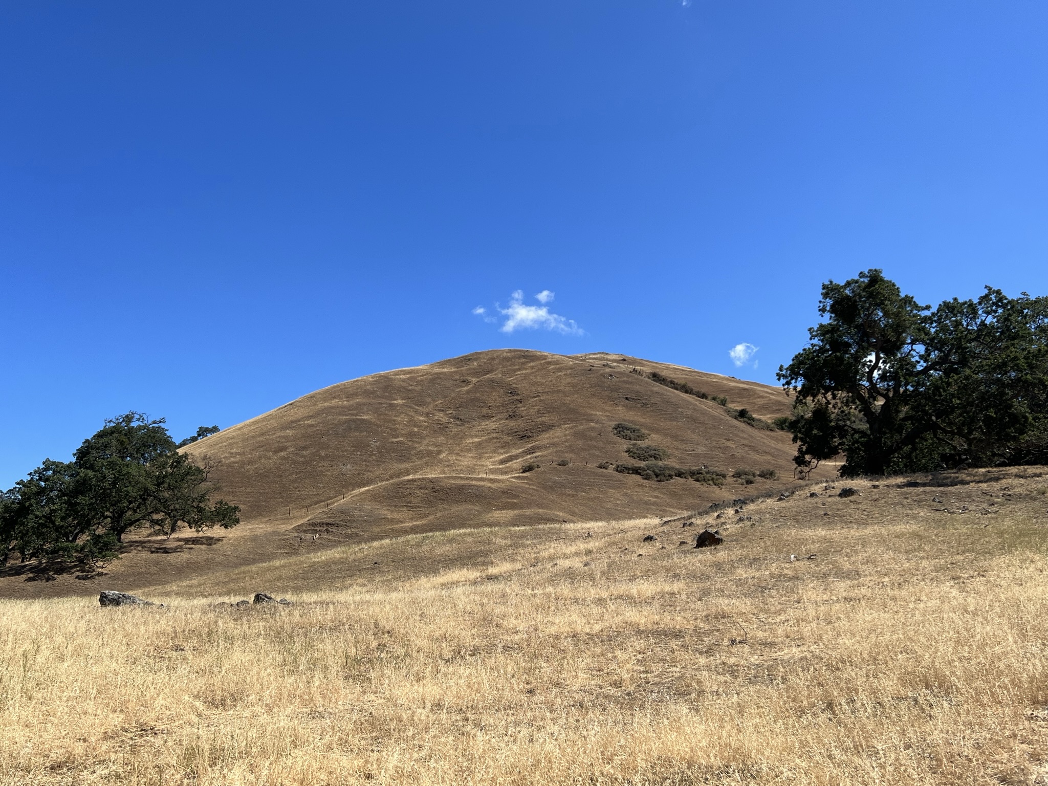 要上的是这个山