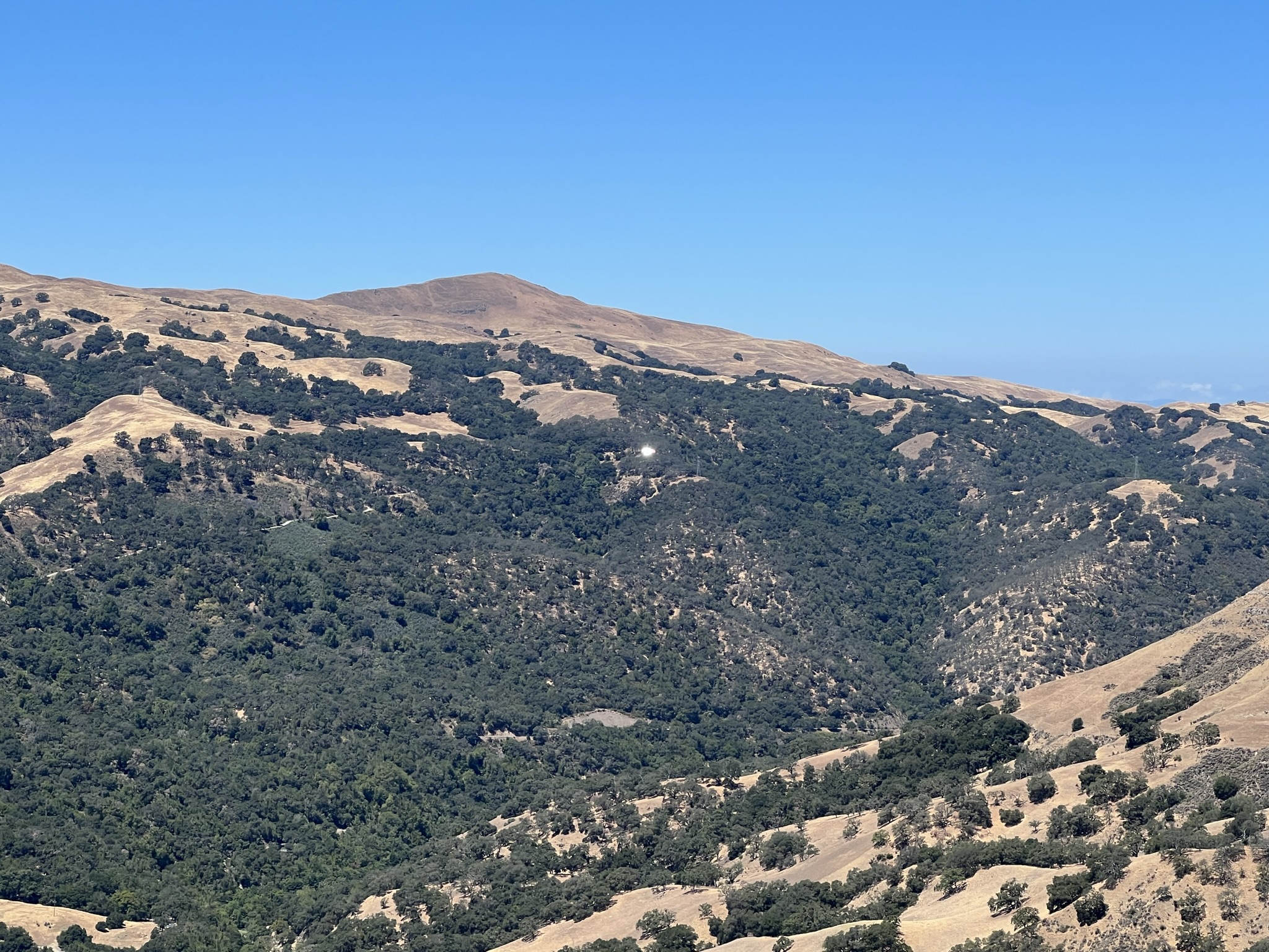 不知道对面是什么东西在反光