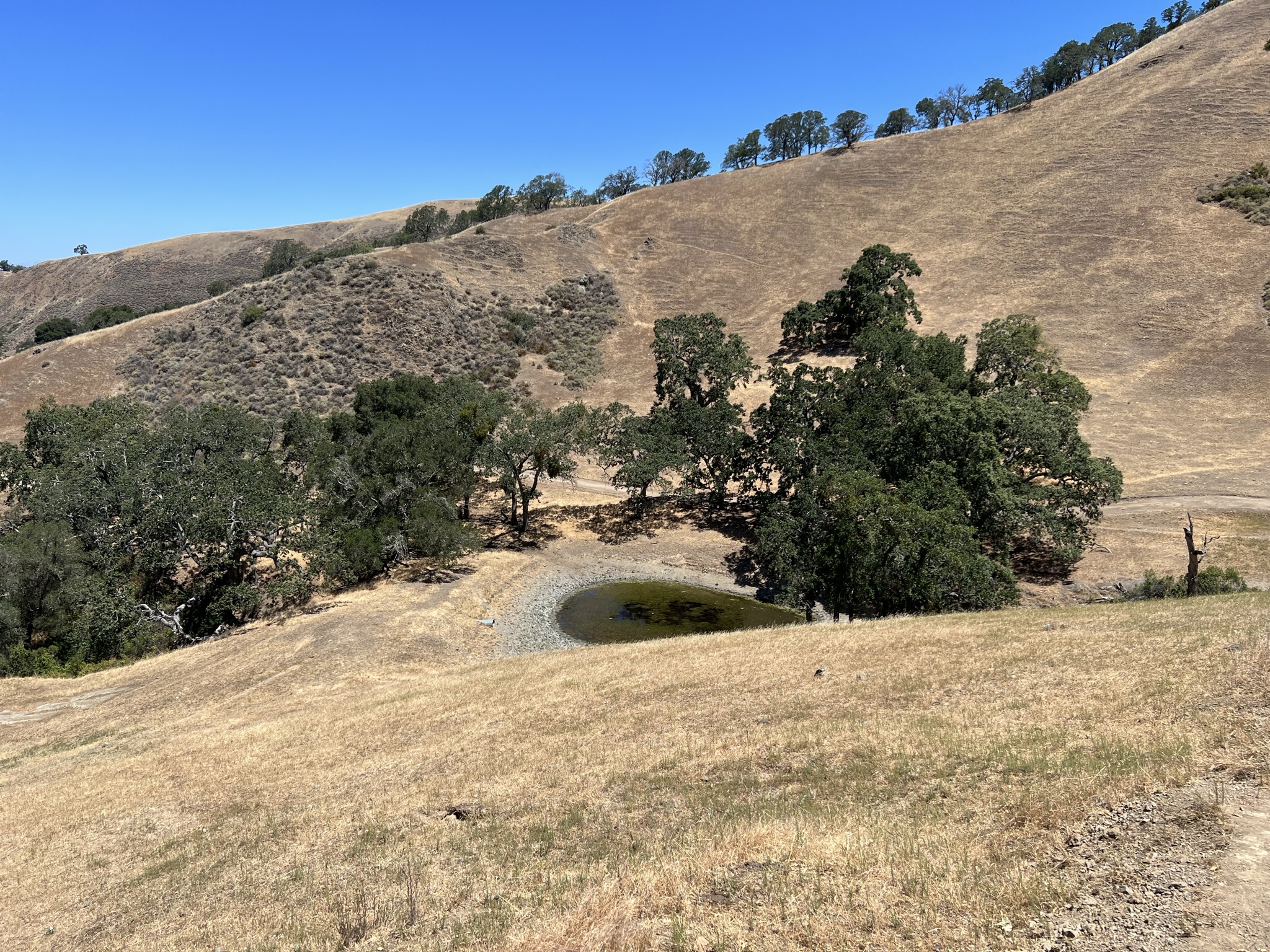 快干了的无名水塘