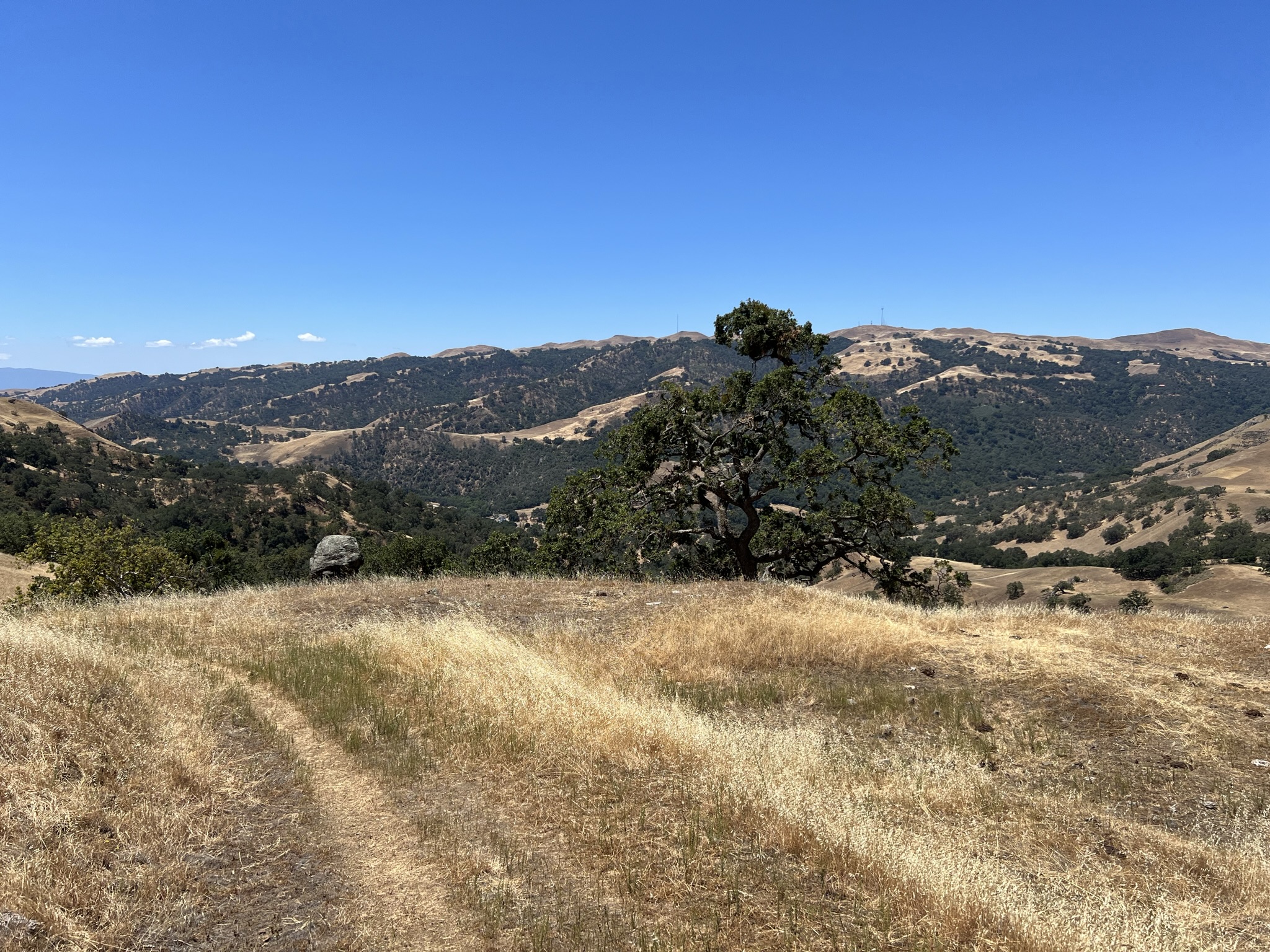 不走 Eagle View 了