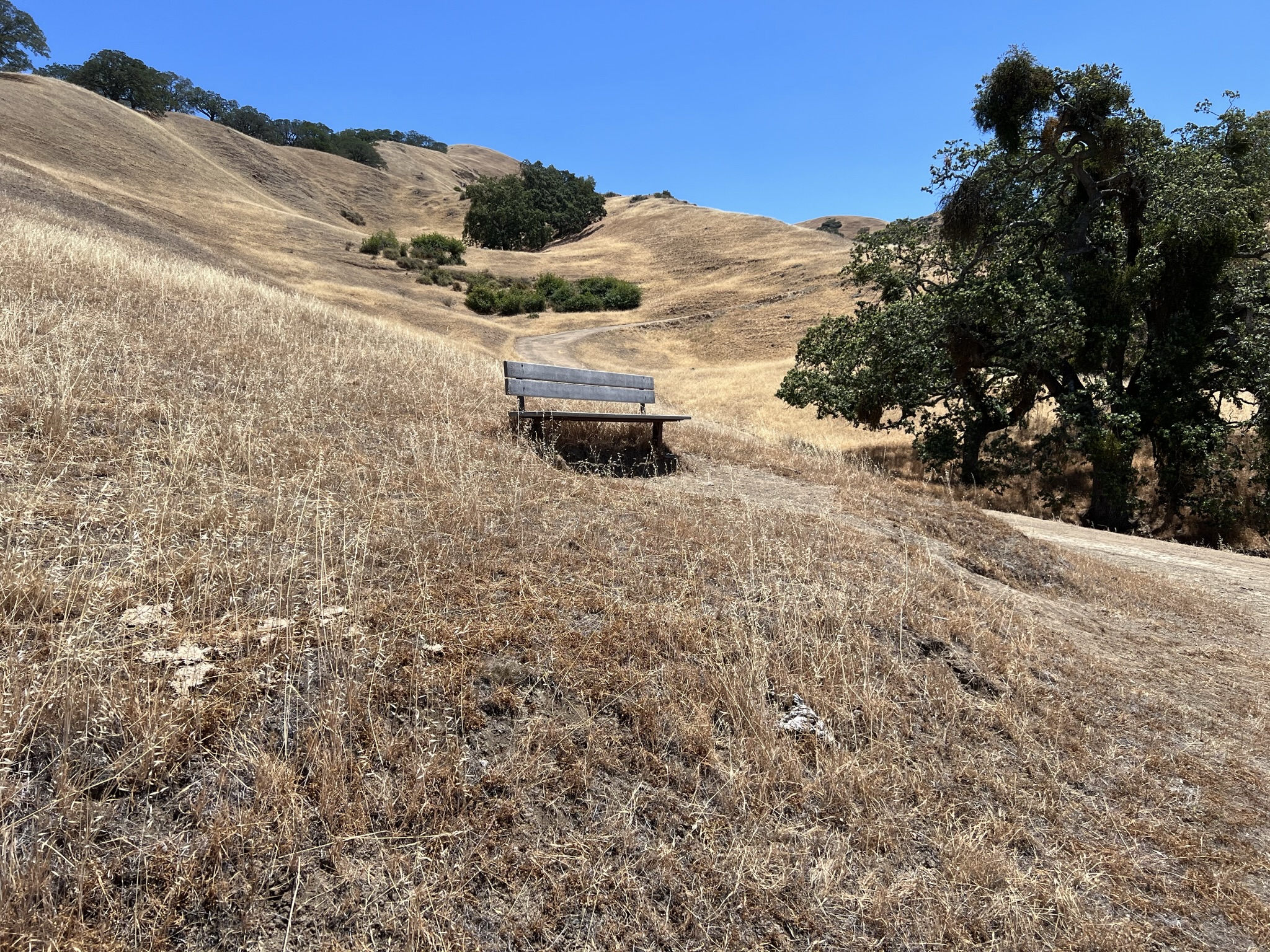 难得有个椅子可以让我歇会