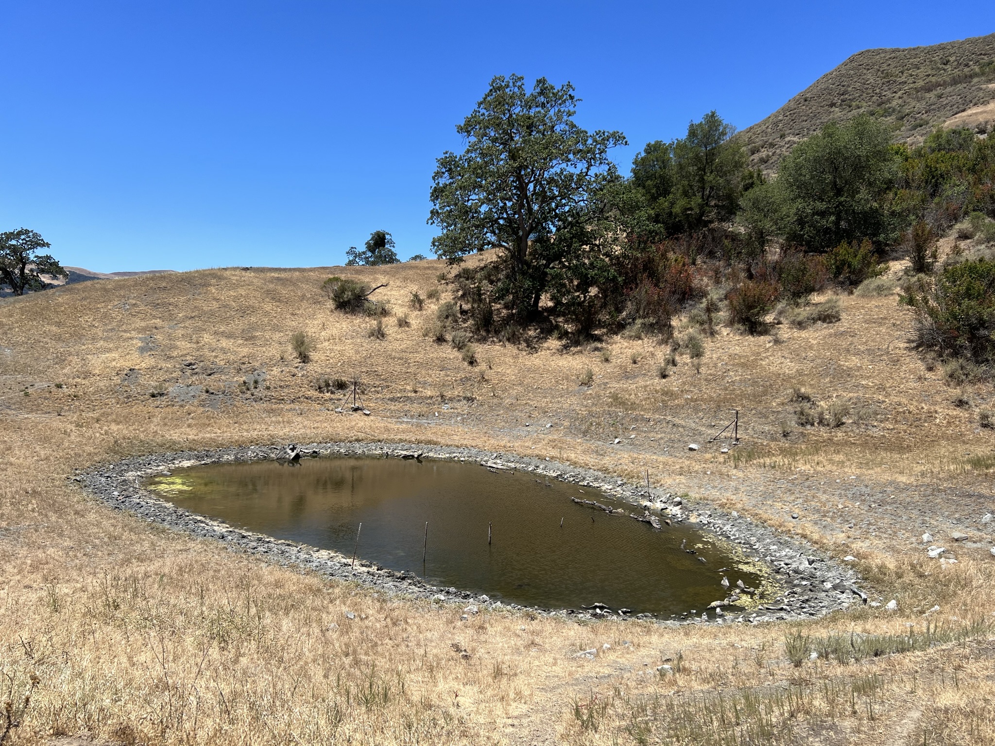 这个应该就是 High Valley Pond，也快干涸了