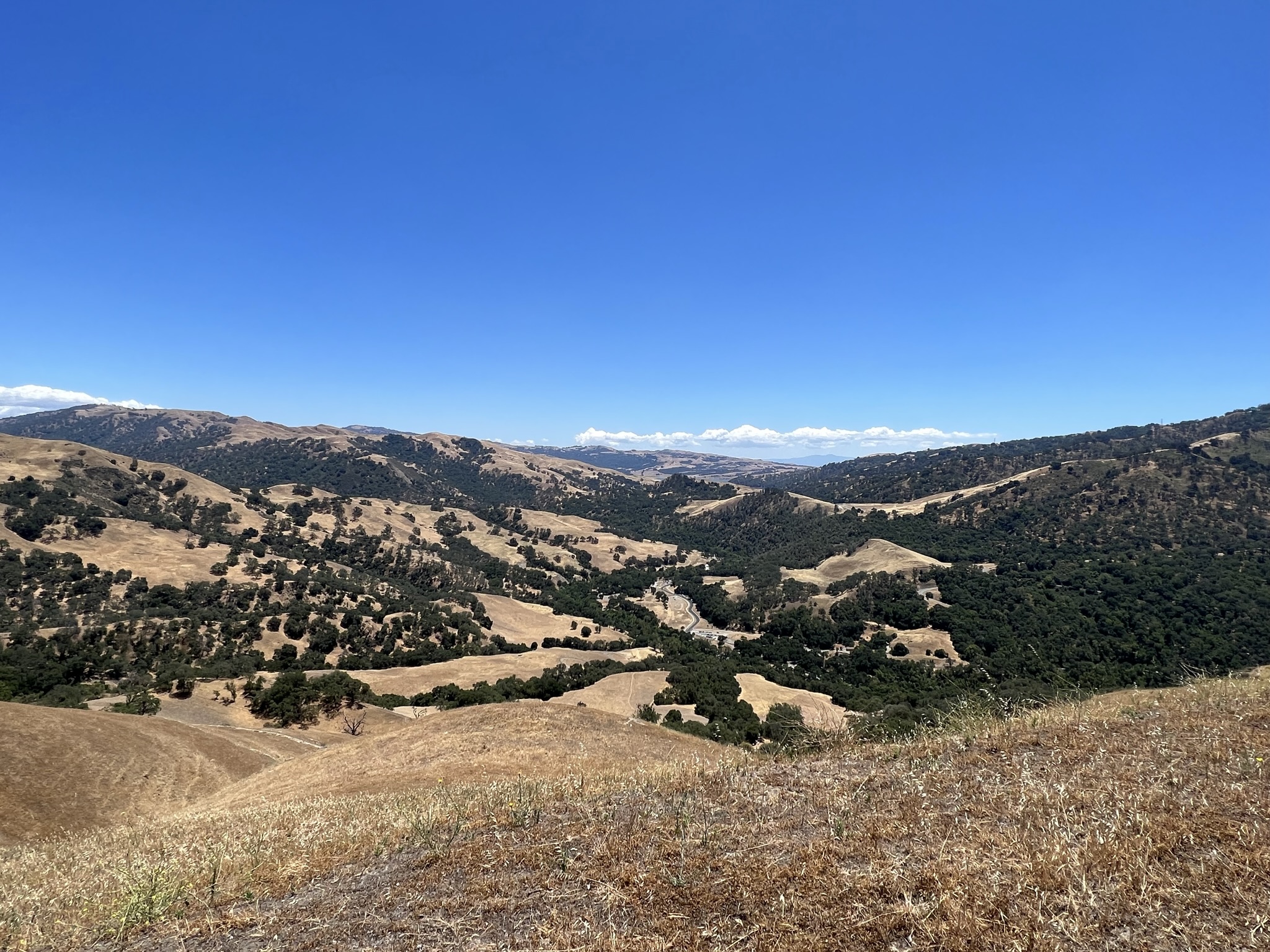 在 Flag Hill 上眺望