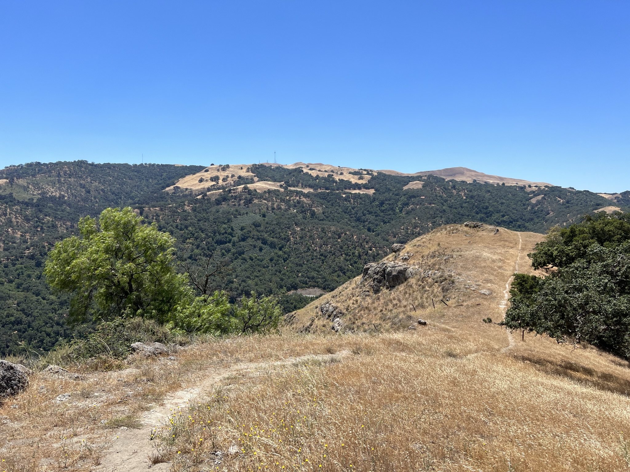 往 Flag Hill Loop Trail 走