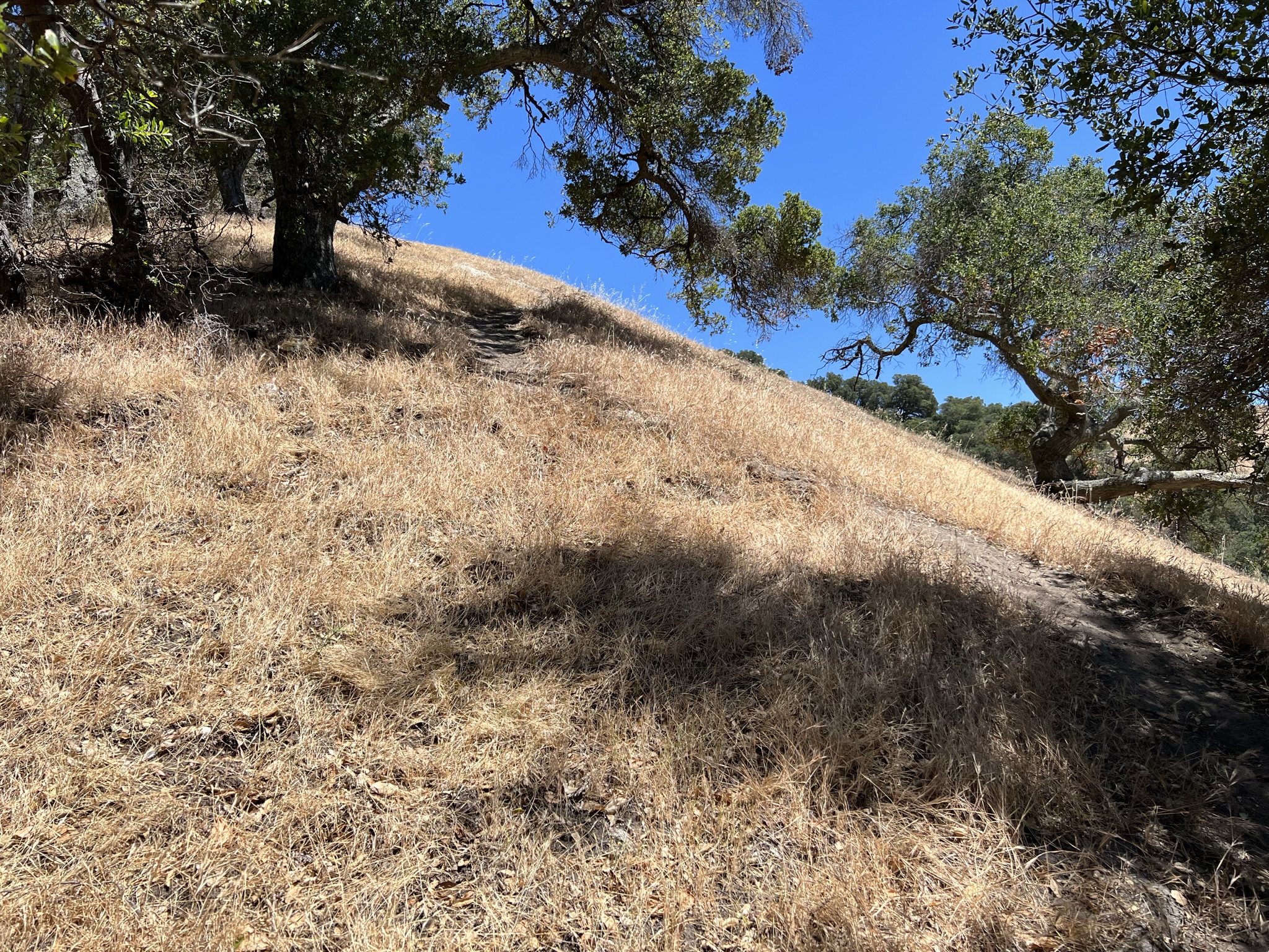 我太难了，这上的去吗