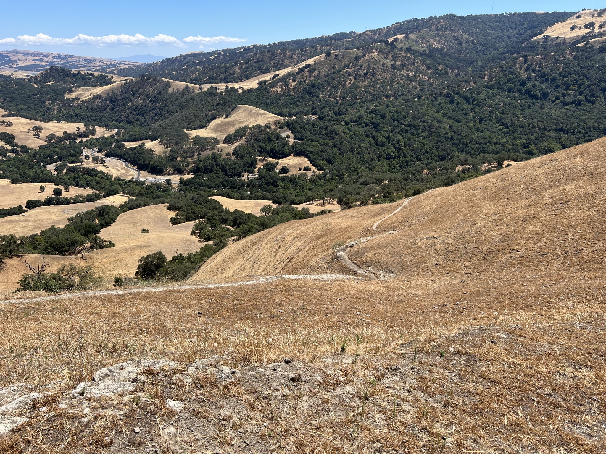 回到 Flag Hill，走 Flag Hill Trail 下山，前面的道路比这个难十倍