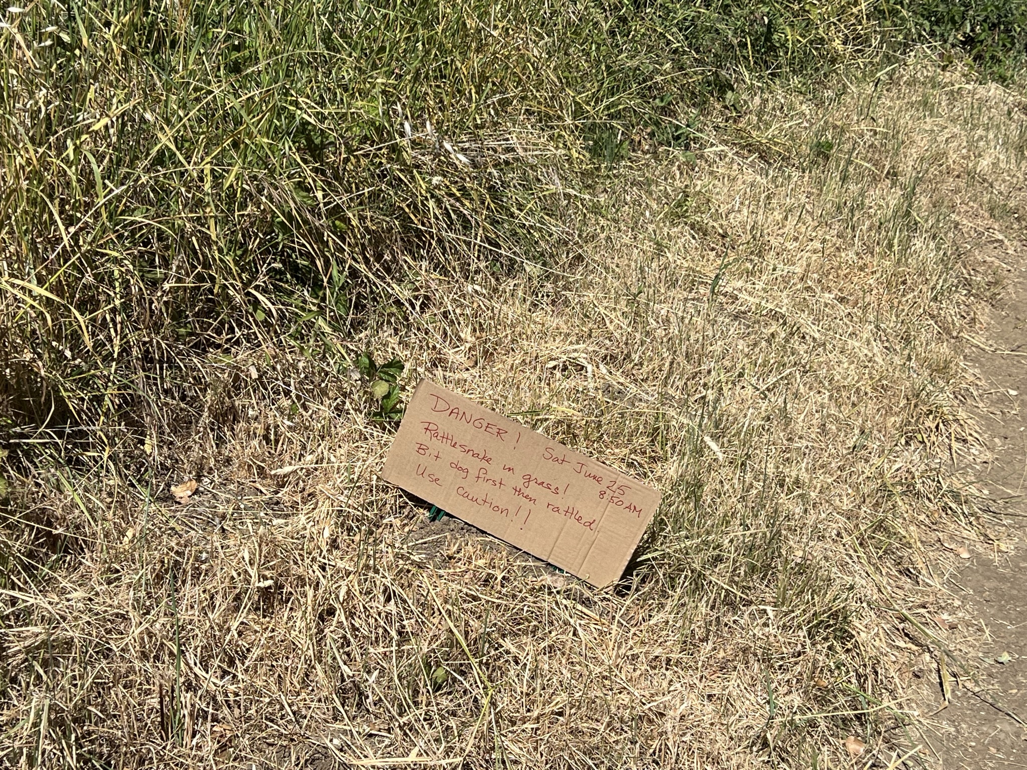 回到了 Silicon Valley Vista Point 向 Coal Creek Open Space Preserve 进发，但是进入一点点就看到了响尾蛇的警告，时间还是今天我今天早上到的时候不久