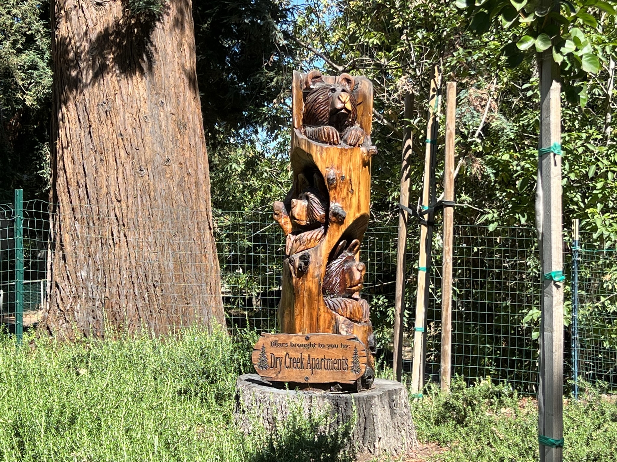 公园外是一个公寓，这个熊雕像做的挺有意思的