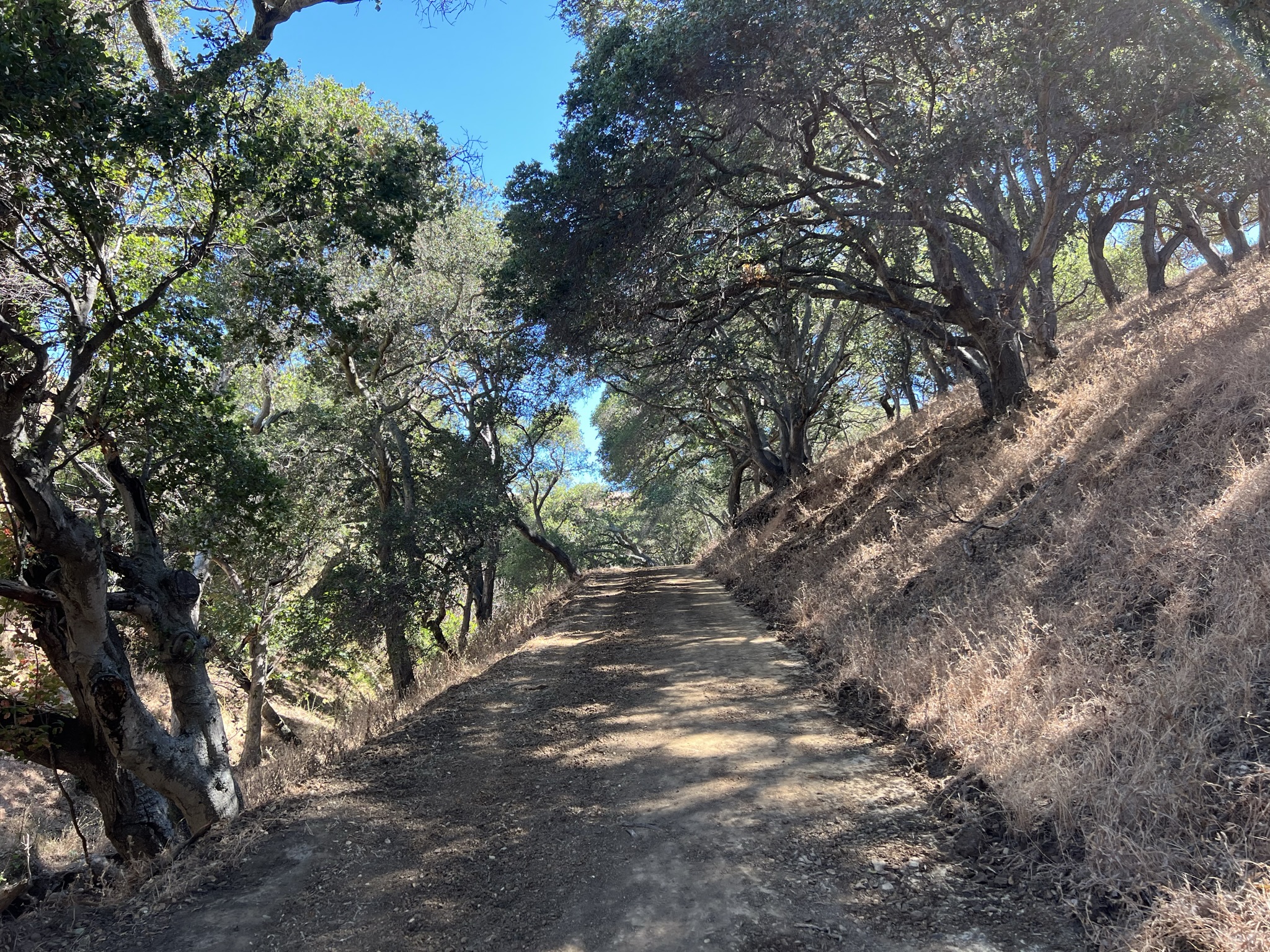 需要走比较长的一段路上山