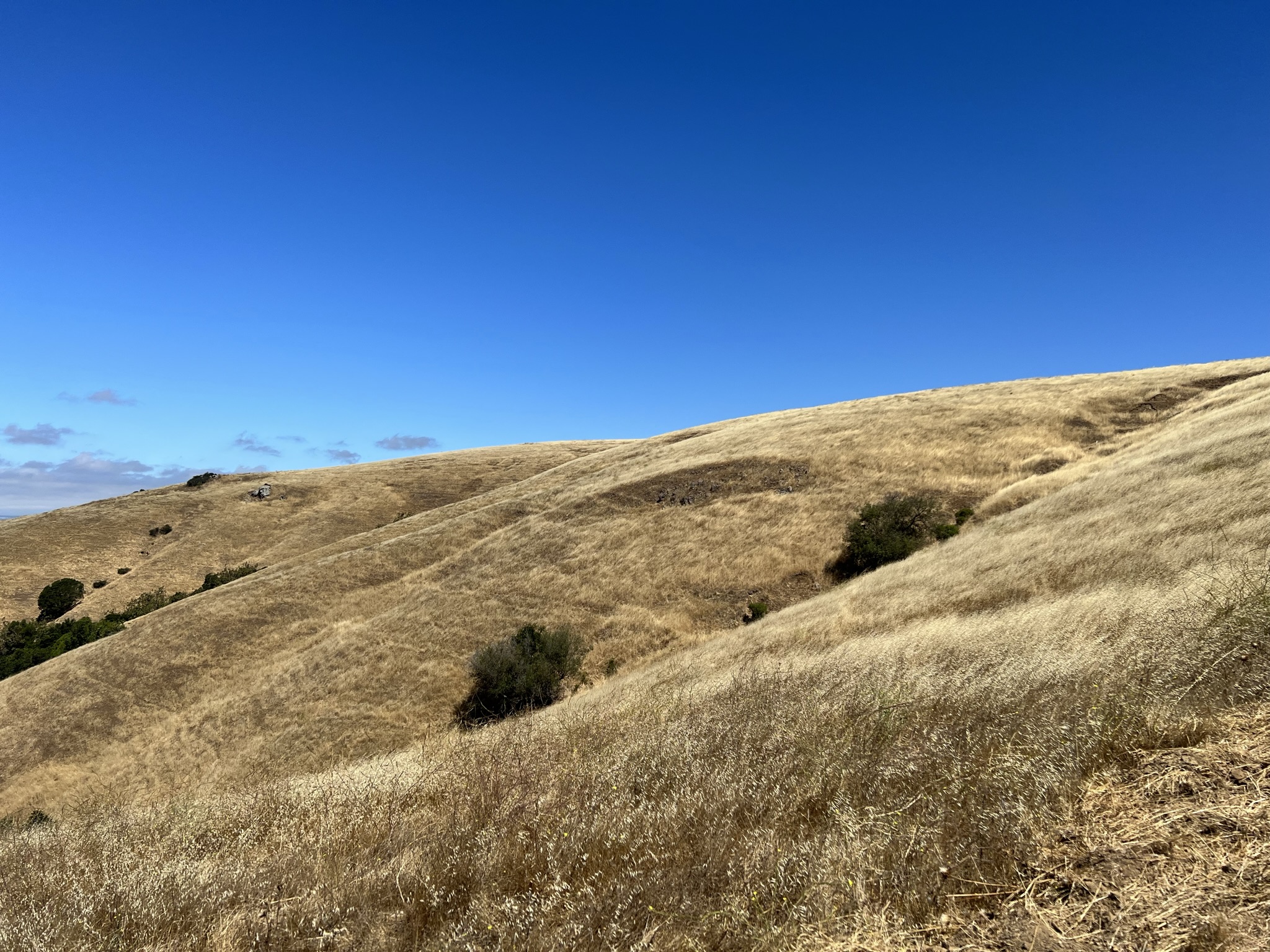 你要是说外星人来过这我都信