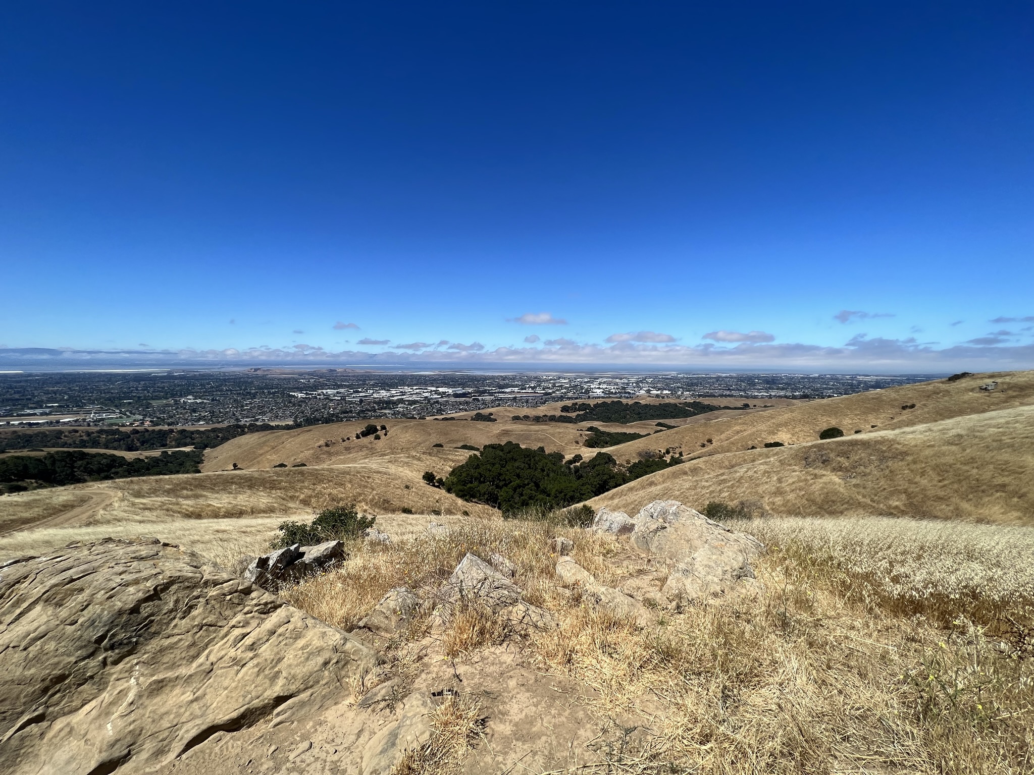 在 Vista Point 远朓城市
