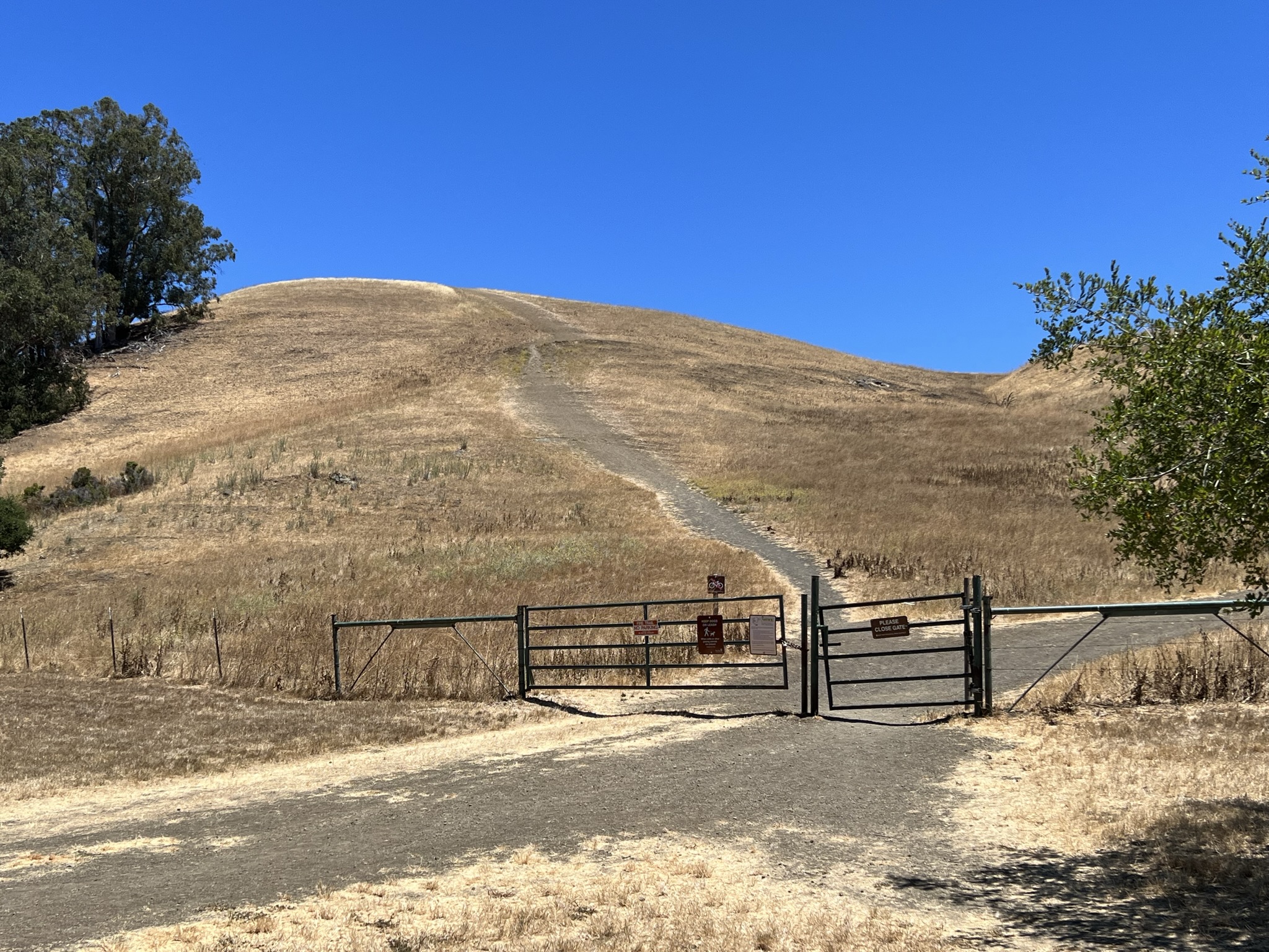 从这里看得出是有多陡了吧