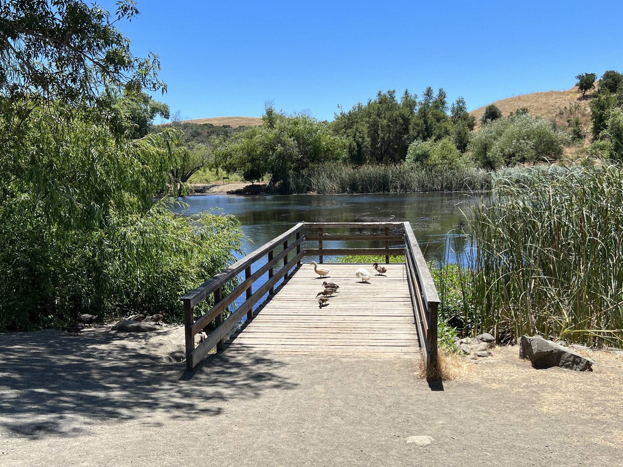 在站台上晒太阳