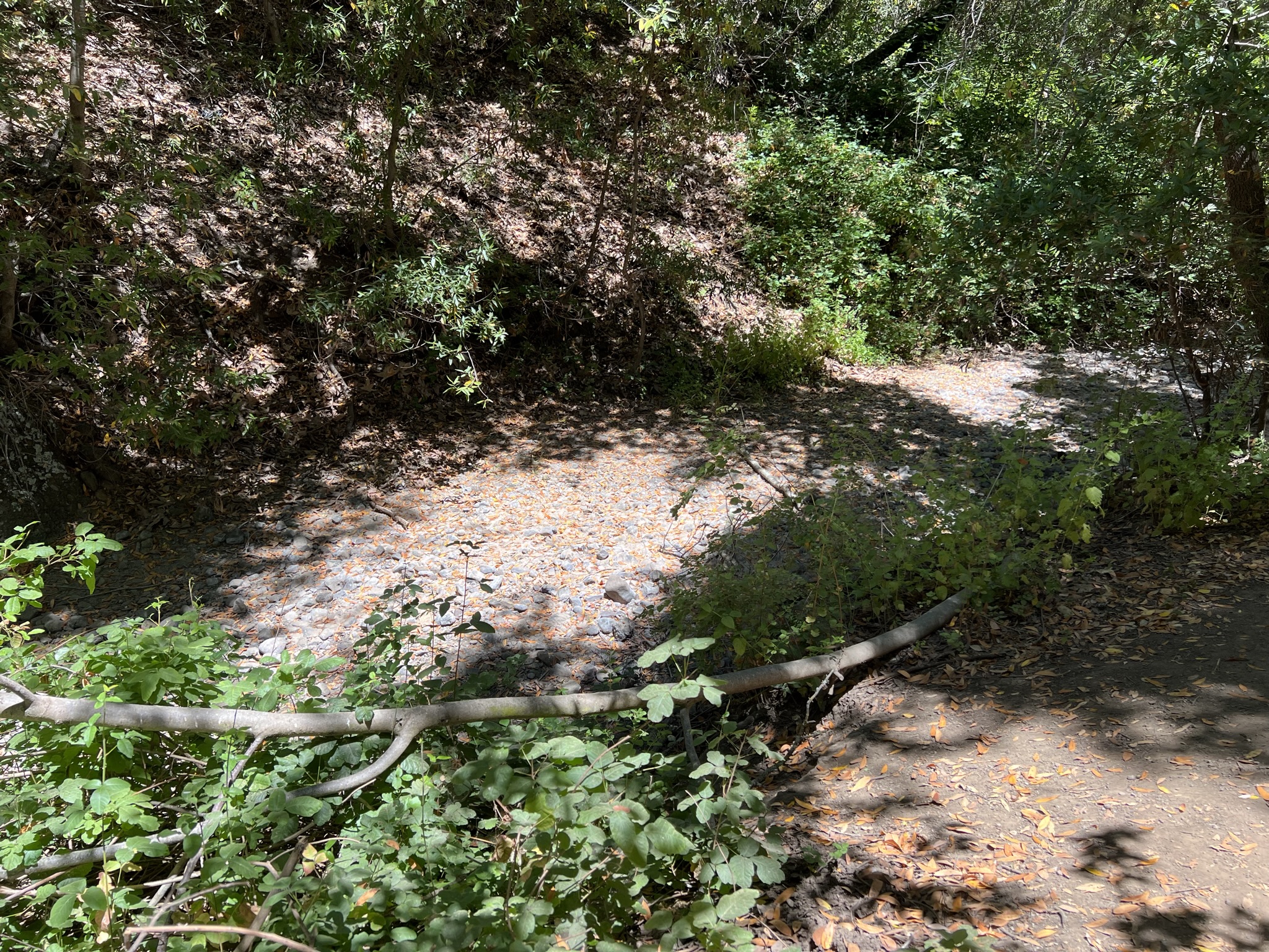 Dry Creek 是真的 Dry