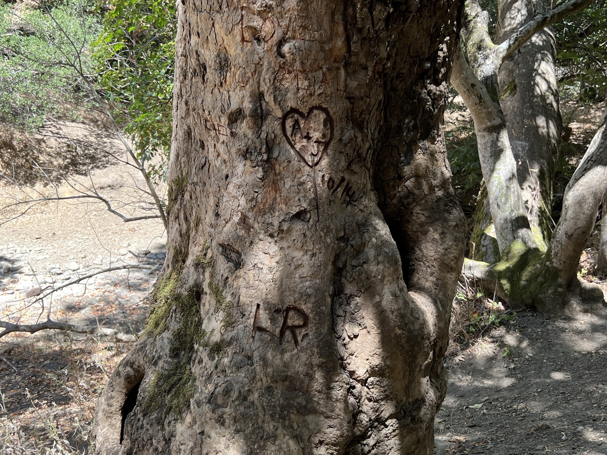 低素质的游客，国内很多，国外也不少