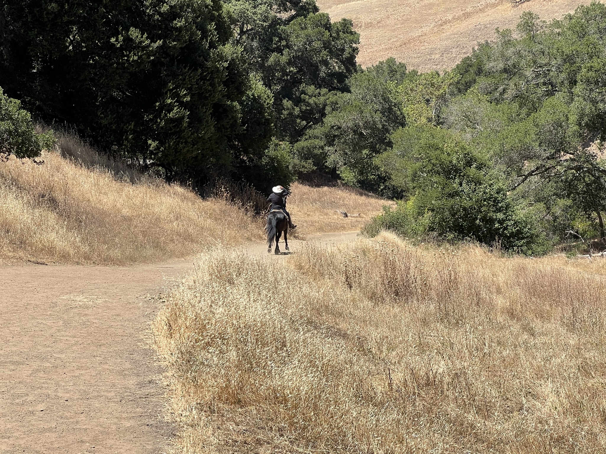 有马就可以得瑟啊