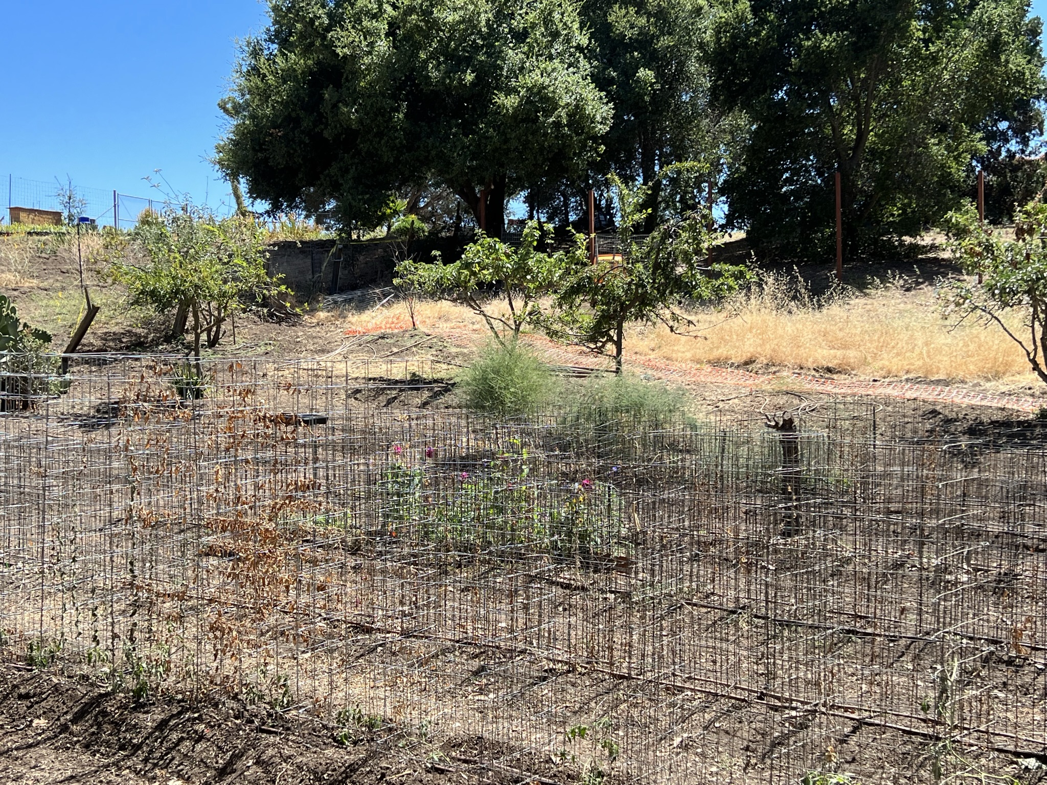 但好像里面培育的是鲜花