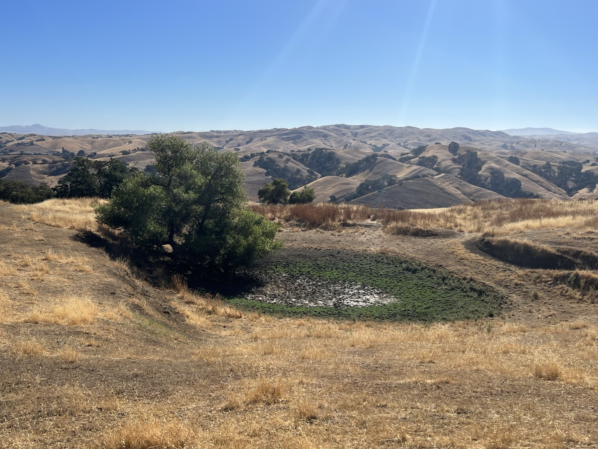 Meadow Pond 已经干涸了