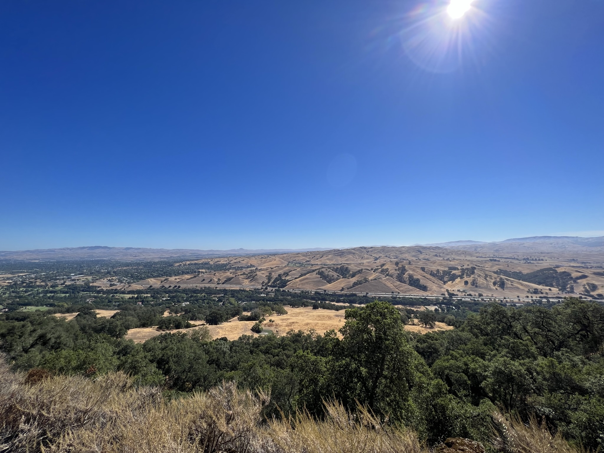 左侧应该是 Pleasanton