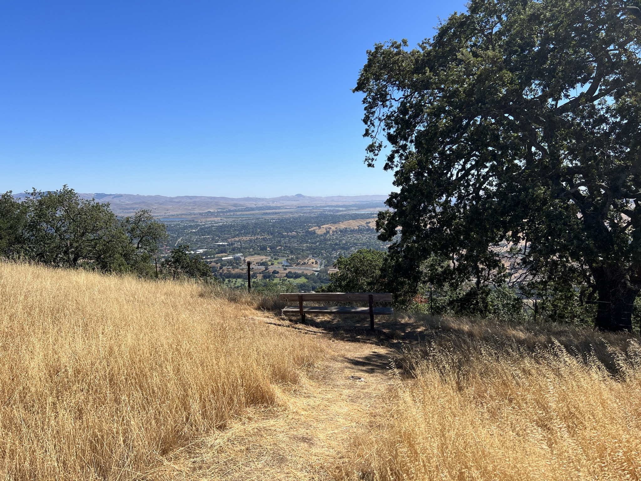 休息点看 Pleasanton