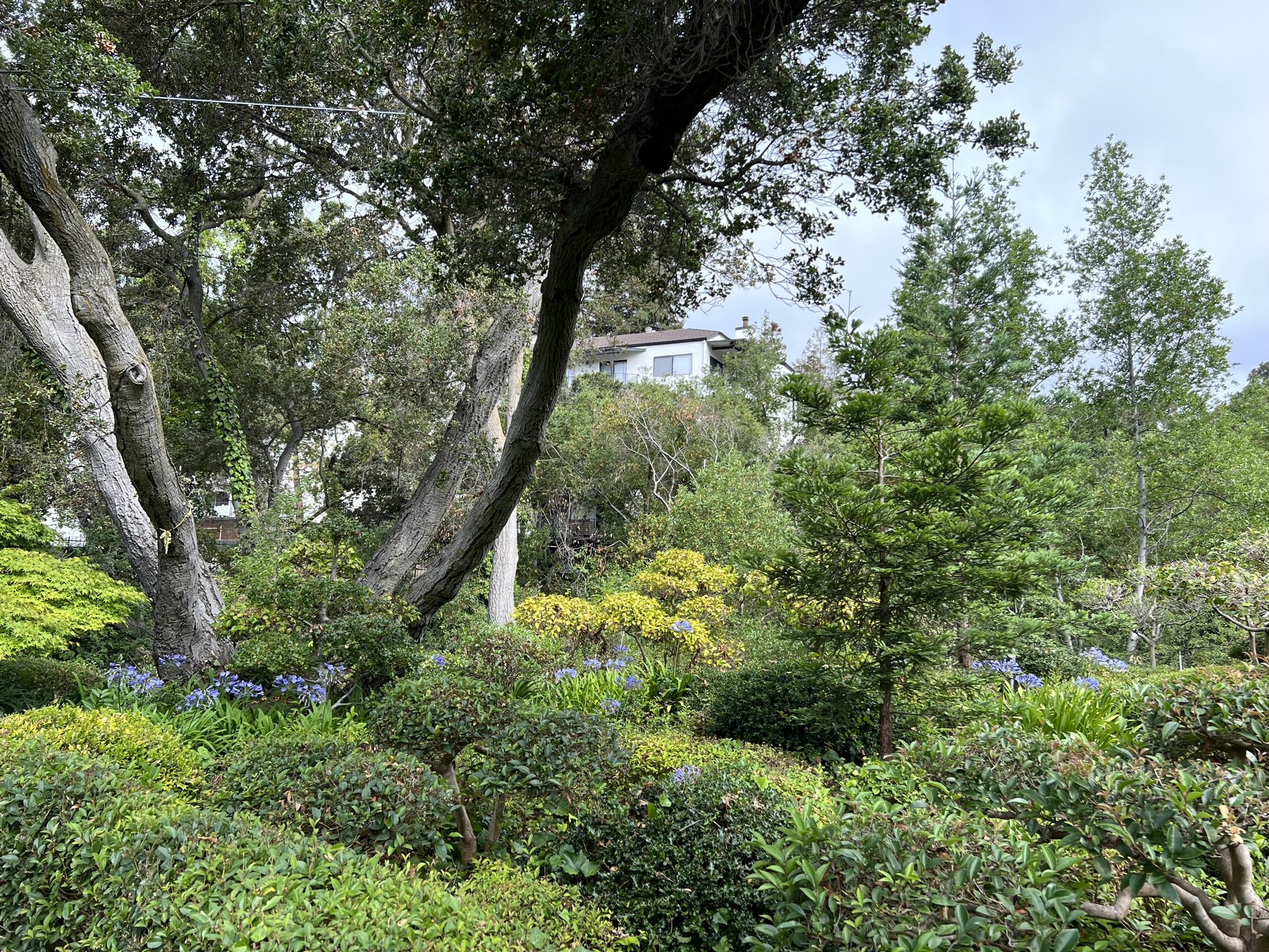 花园后是小区