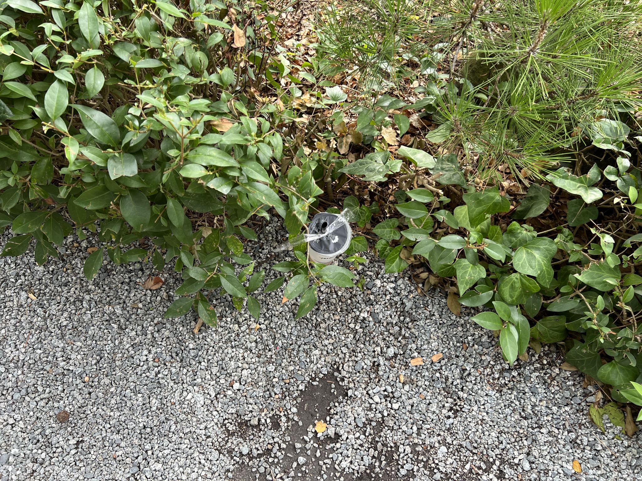 总有些素质极差的人，喝完奶茶随手一扔